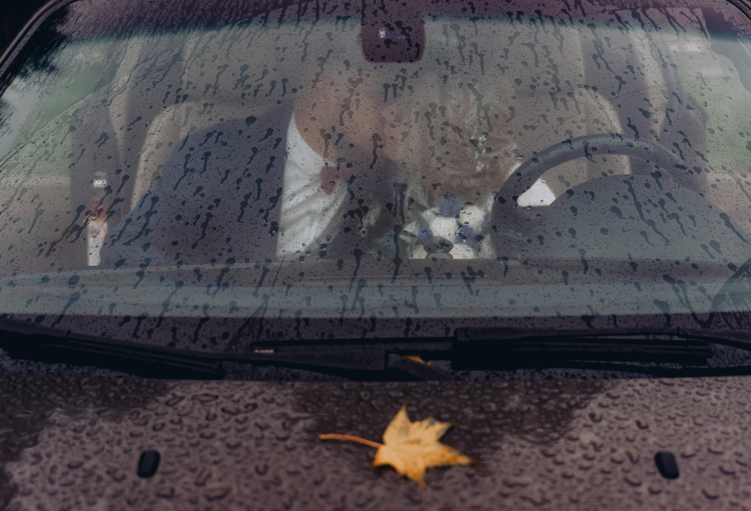 Екатерина и Виталий. Свадебный и семейный фотограф Ирина Чернова