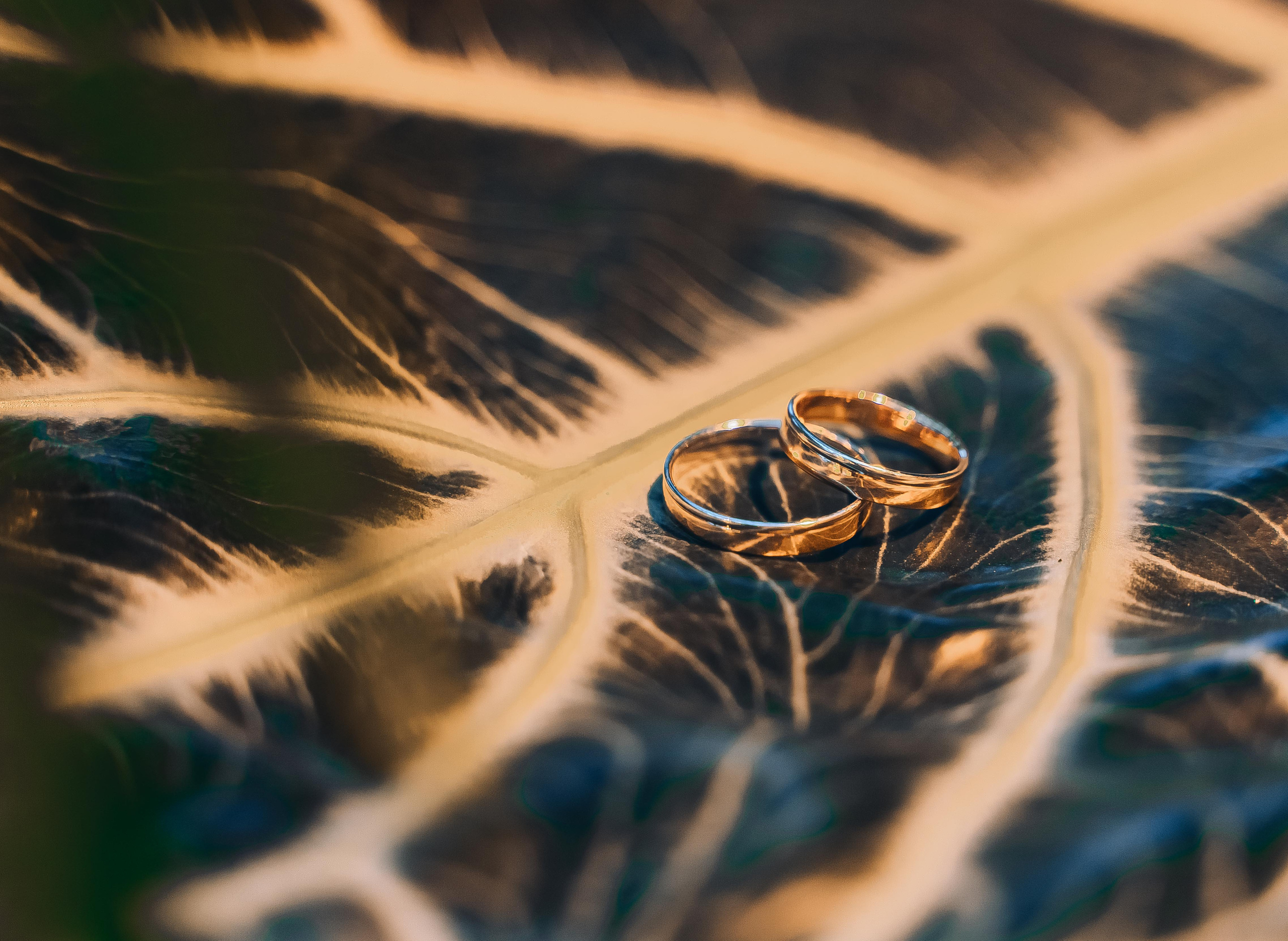 Алина и Владислав. Свадебный и семейный фотограф Ирина Чернова