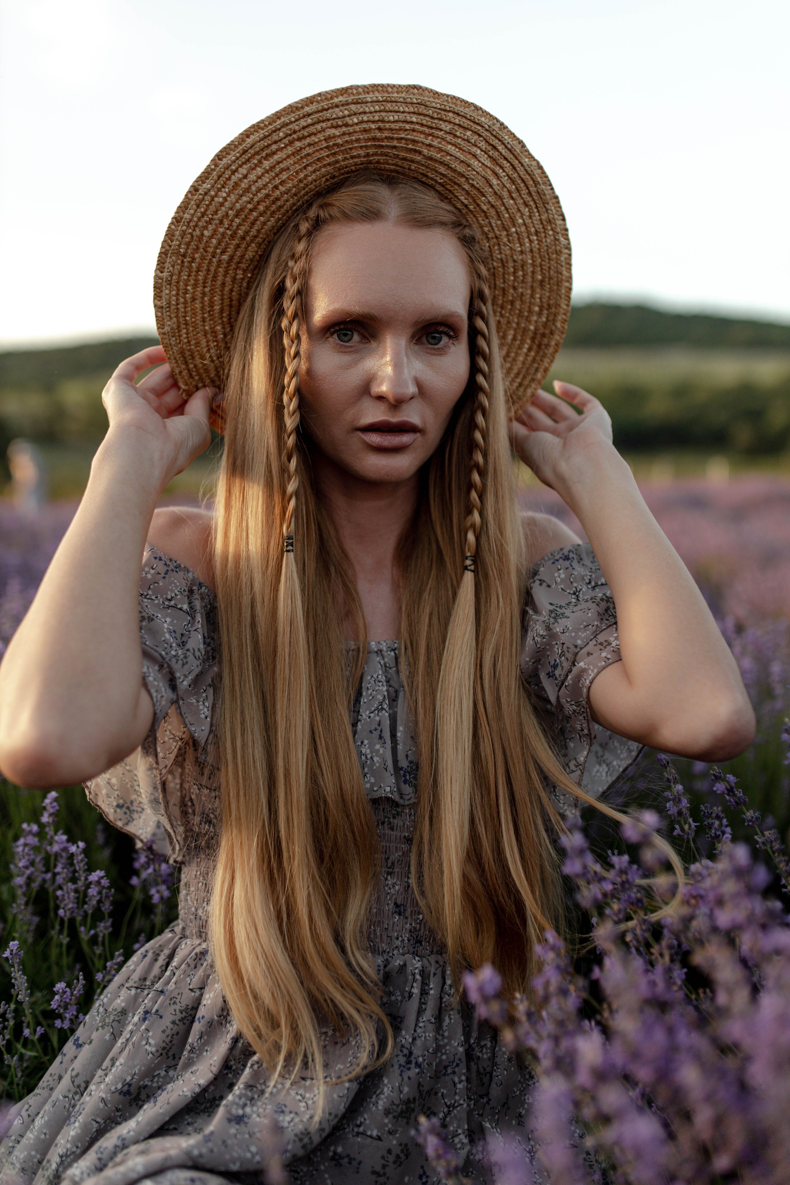 Лаванда. Фотограф Трифон Мира