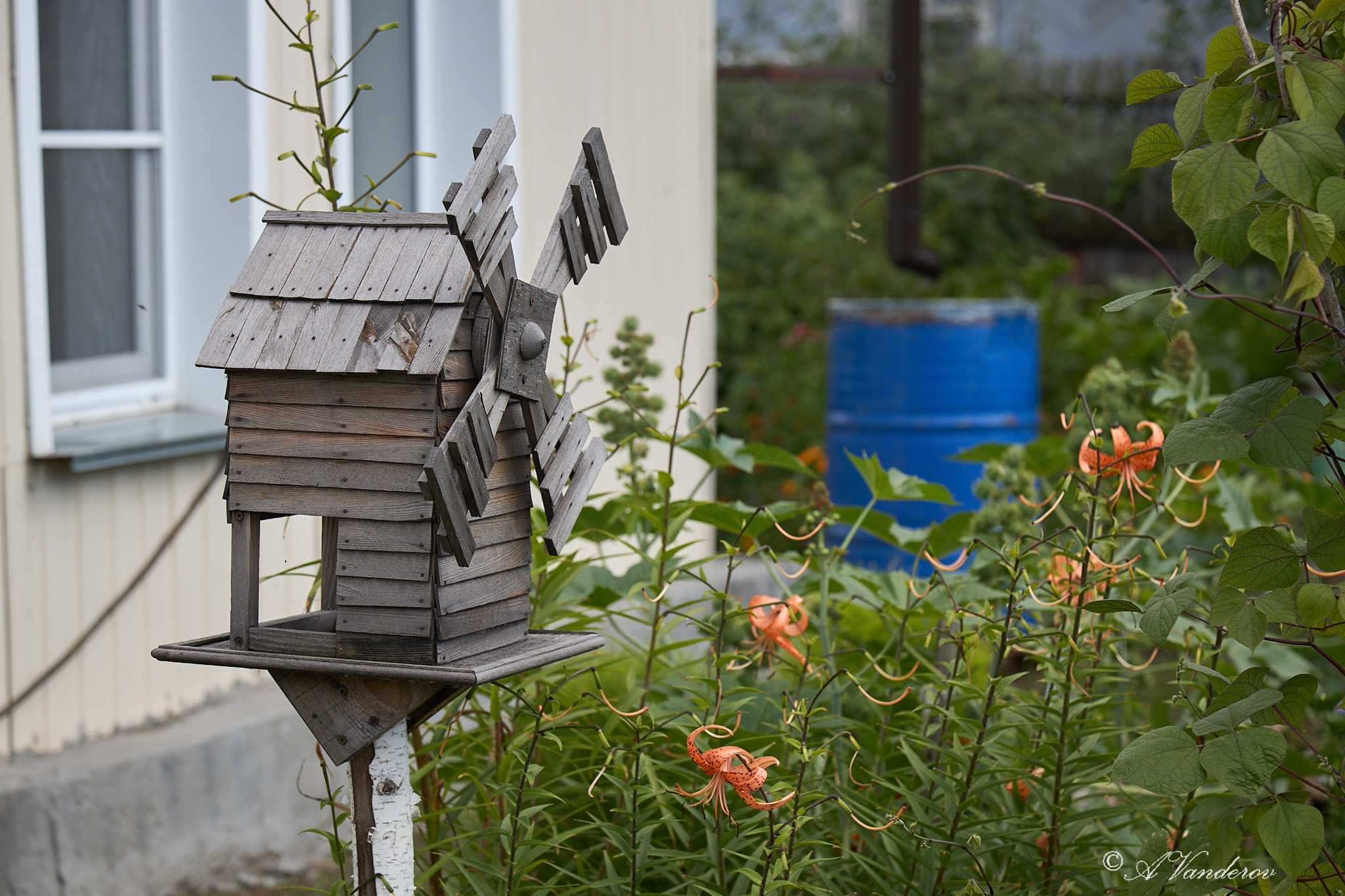 Село Савкино Баганского района Новосибирской области. Фотограф Омск | Александр Вандеров
