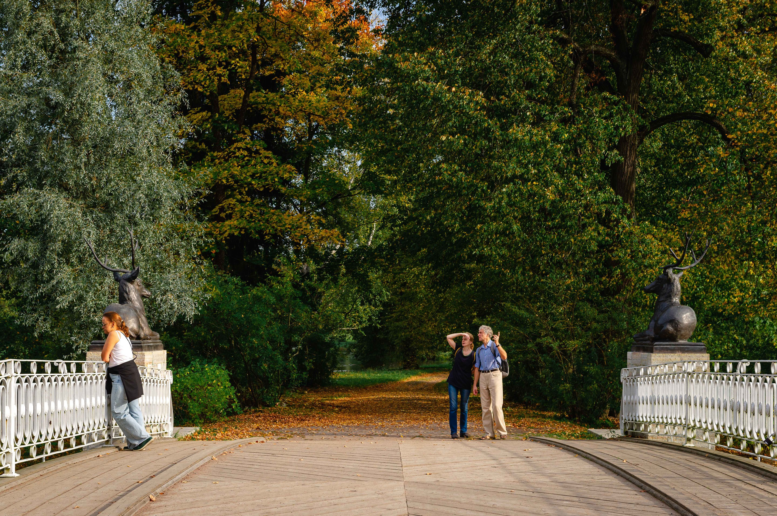 2023.09. Фотограф Алексей Алексеев