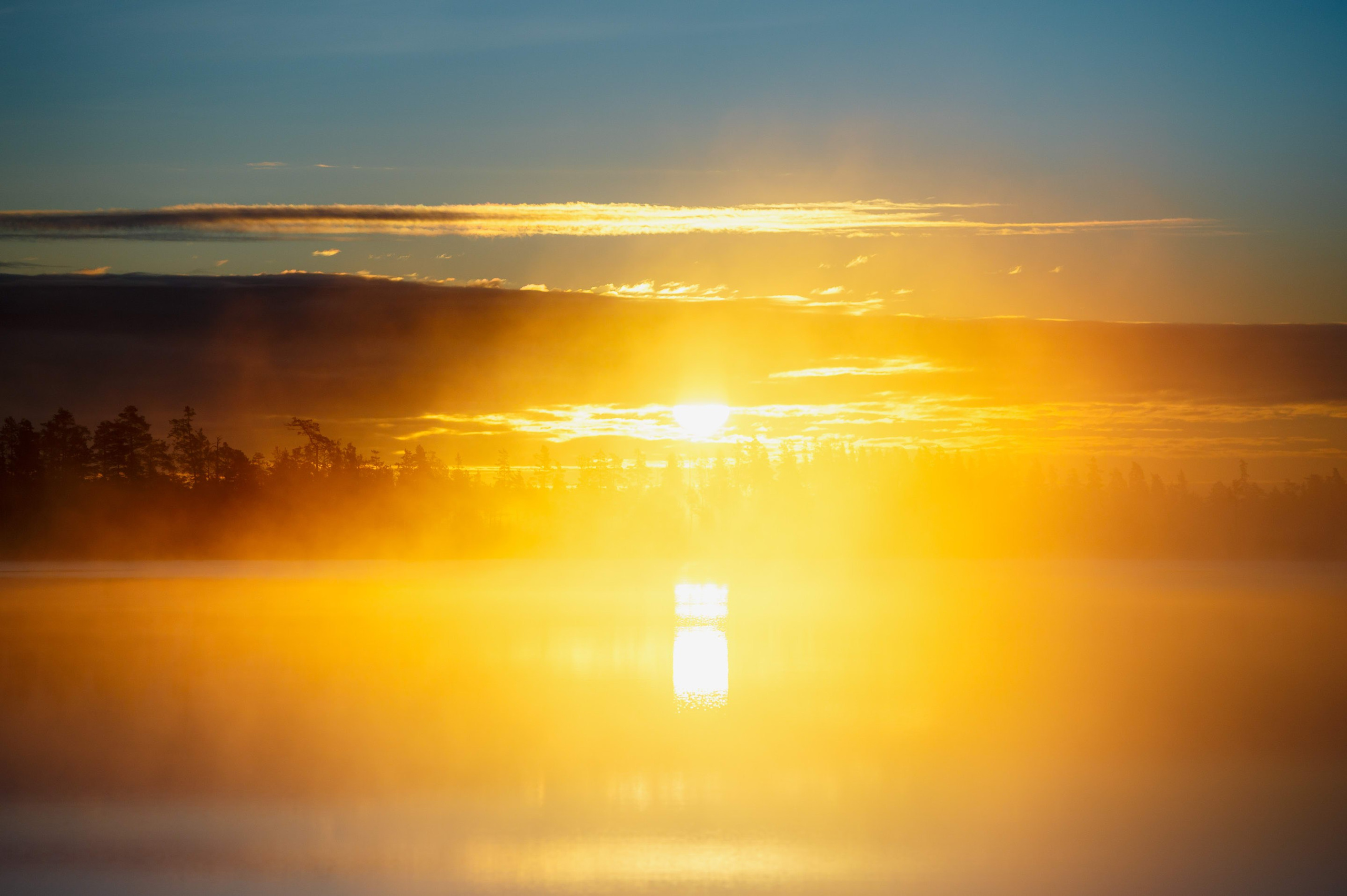Кубок СПб по трофи-рейдам 04-06.10.2024 — базлаг, АП и ТИ. Фотограф Алексей Алексеев
