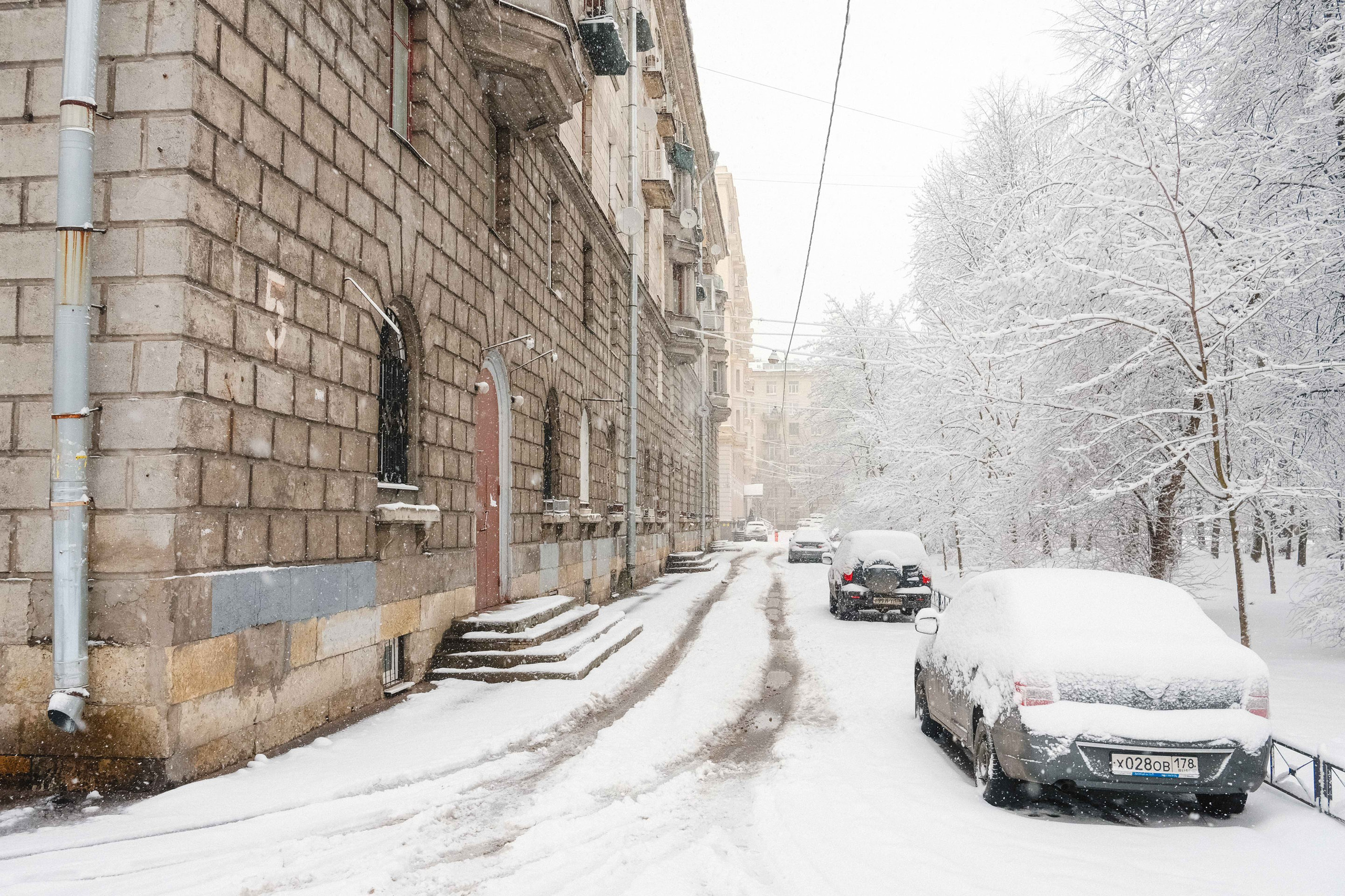 2023.03. Фотограф Алексей Алексеев