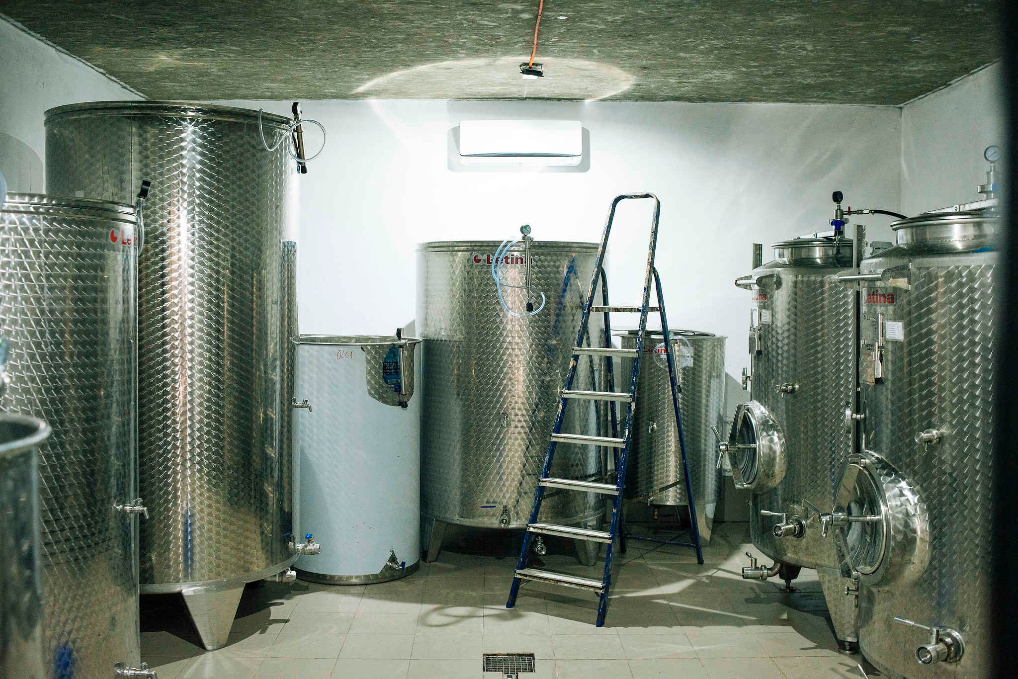 Винодельни Краснодарского края. Фотограф Михаил Мордасов, Сочи. Мероприятия, портреты, спорт, репортаж