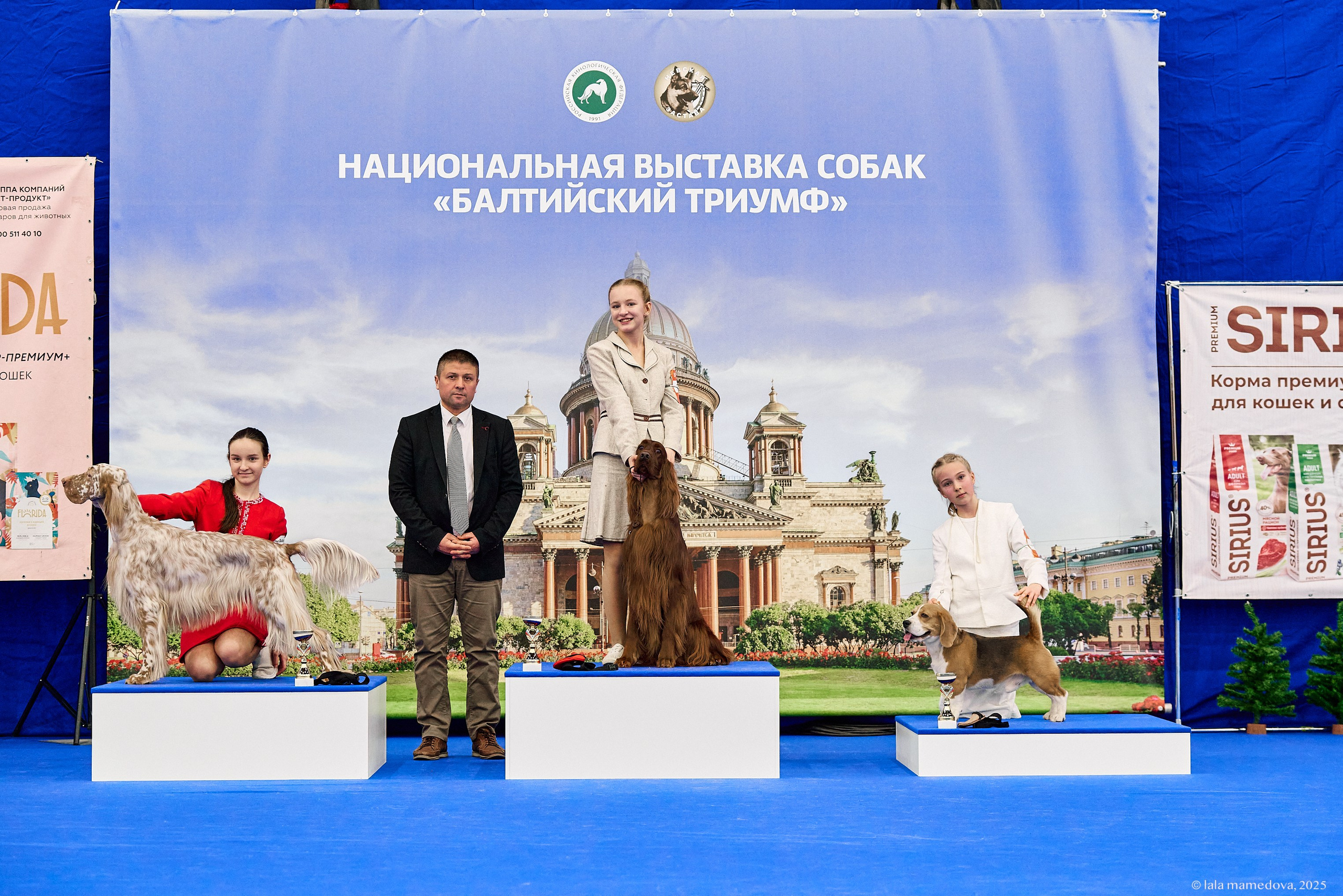22-23 FEB 2025 | NATIONAL DOG SHOW «BALTIC TRIUMPH-2025»