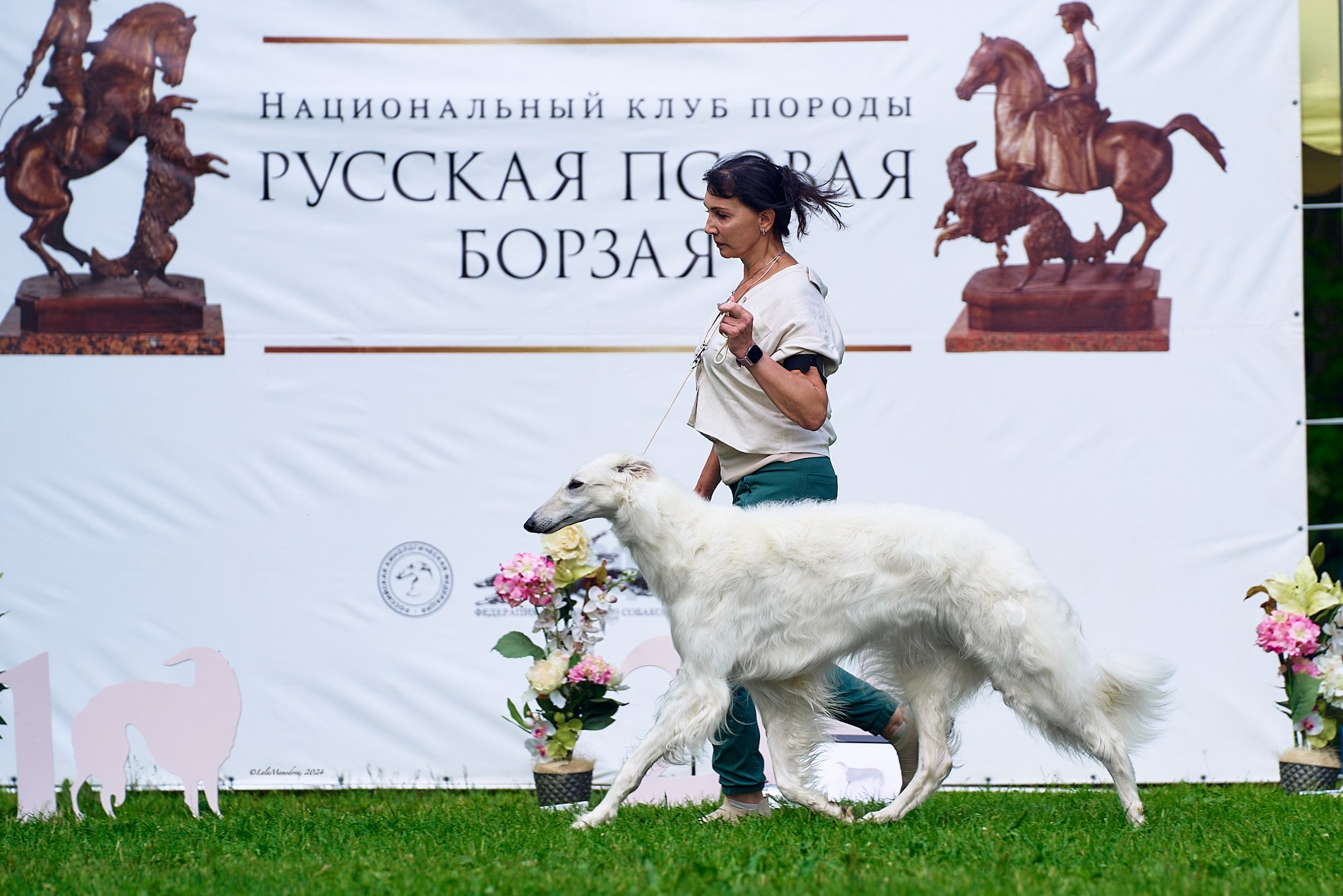 15.06.2024 | XXVIII НАЦИОНАЛЬНАЯ ВЫСТАВКА | РУССКАЯ ПСОВАЯ БОРЗАЯ