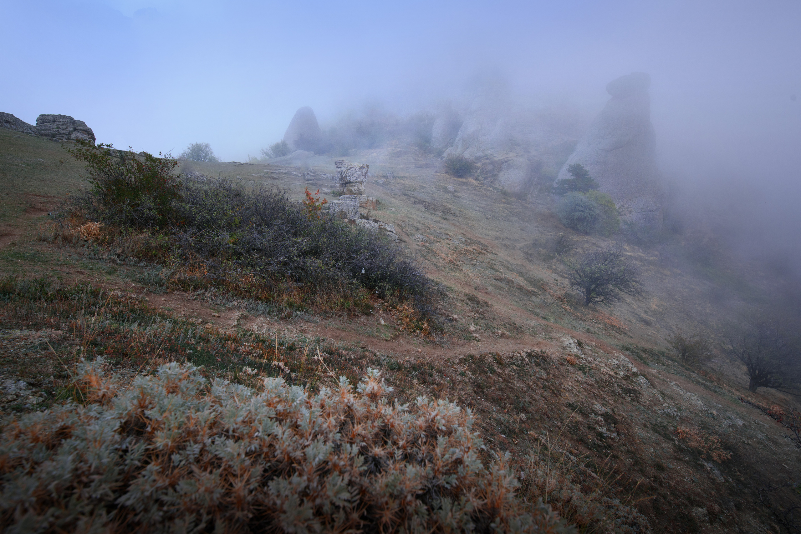 Пейзаж. Фотограф Антон Денисенко: Портрет, Документалистика, Пейзаж. Москва