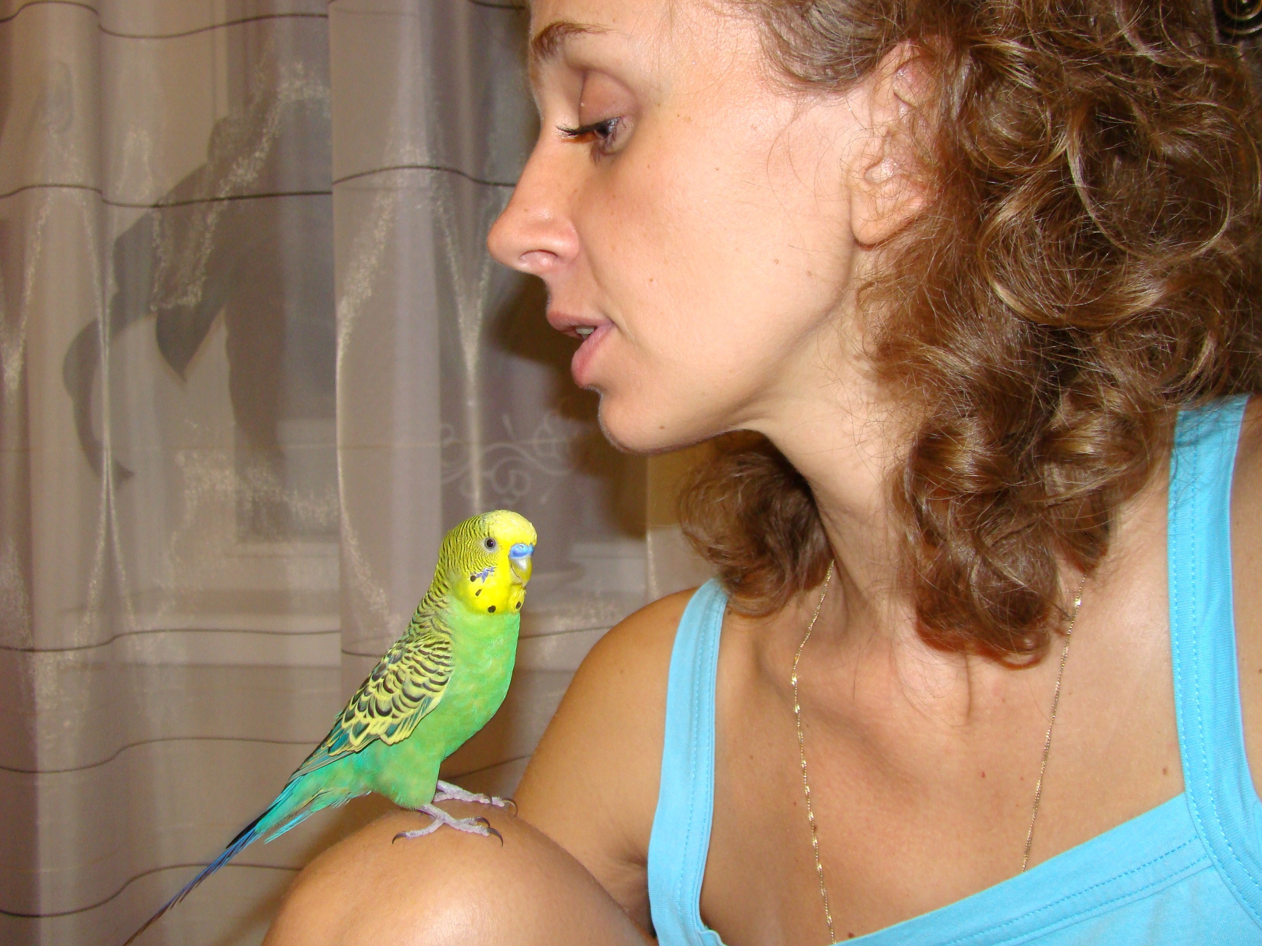 Новый Год. Семейный, Свадебный фотограф СПБ Питер— Романова Екатерина