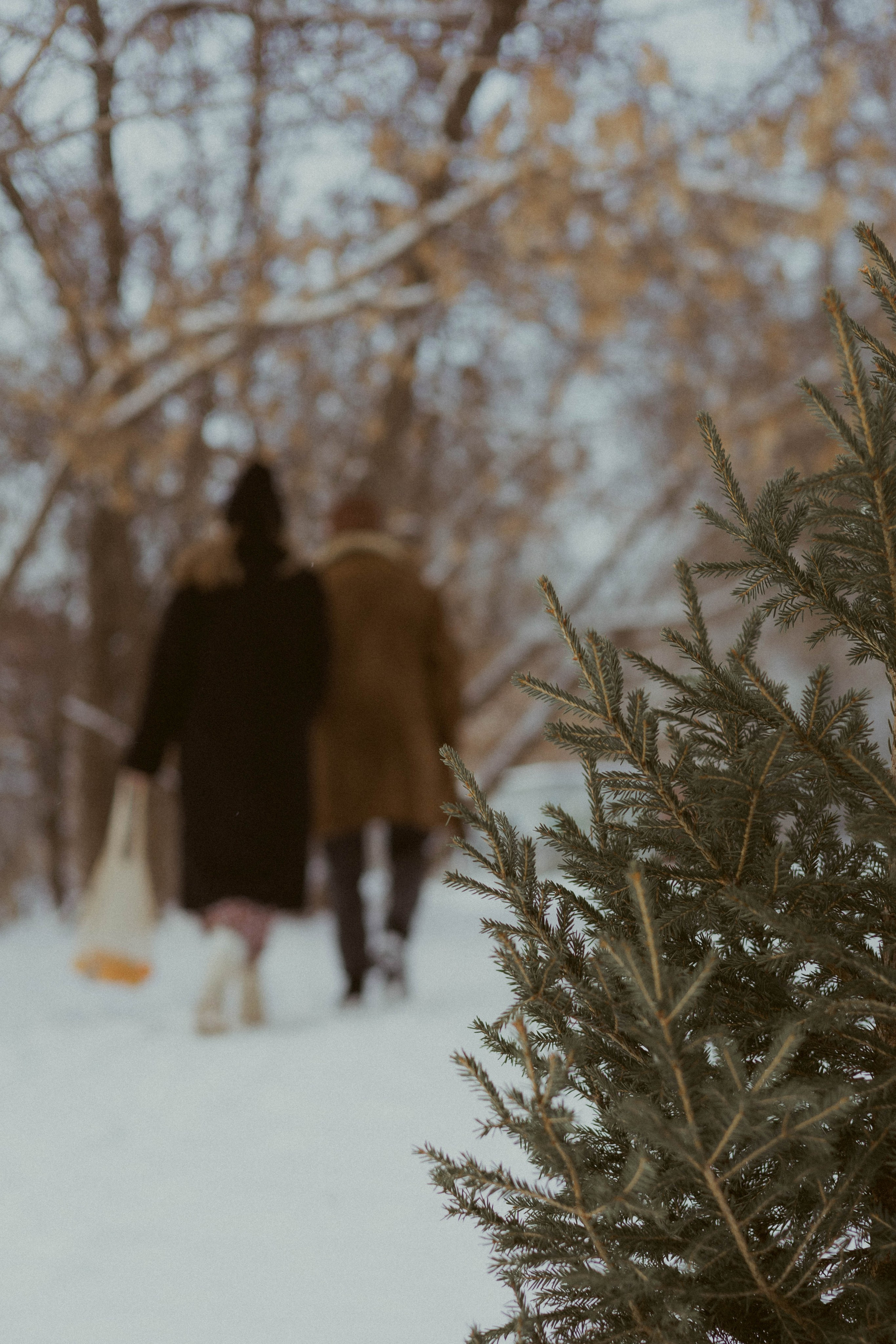 Фотопроект «Новогоднее настроение». Семейный фотограф в Ижевске Даша Денисова