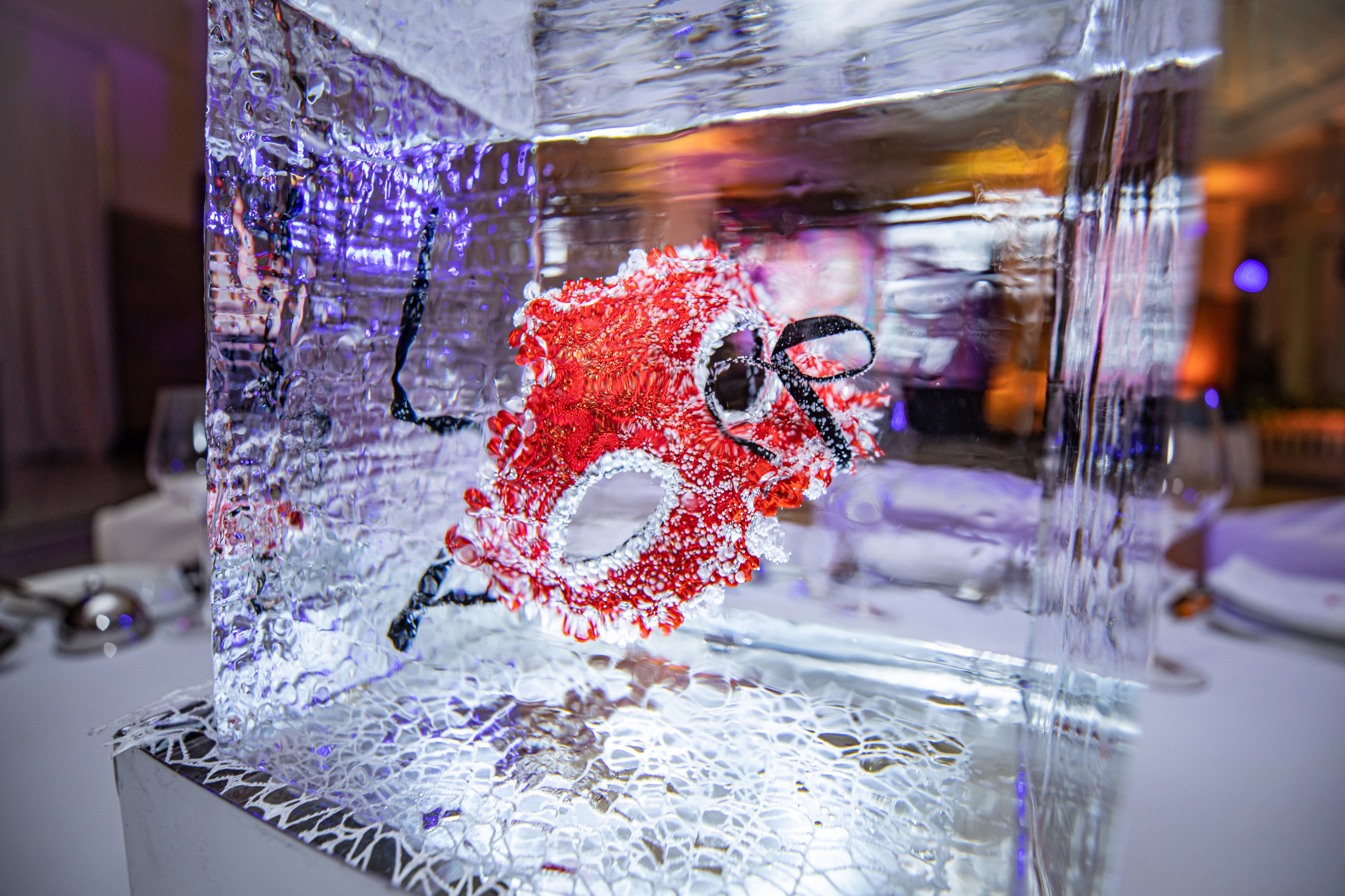 Репортажная съёмка. Профессиональный фотограф Светлана Протасова