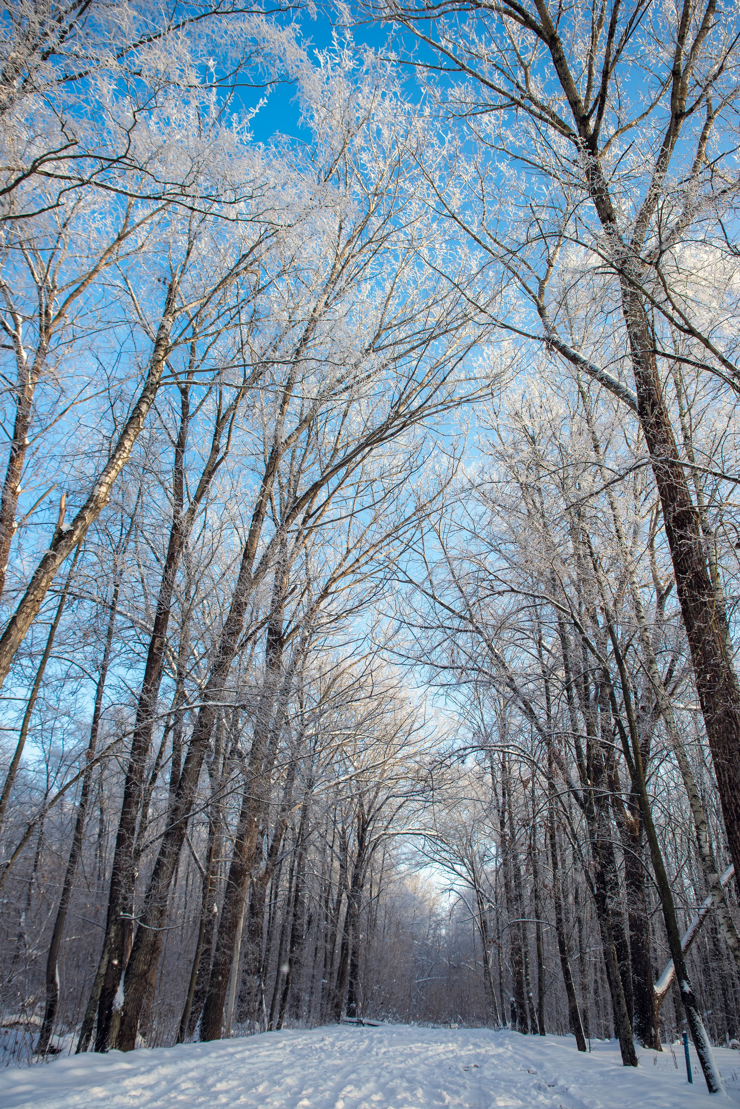 Зимушка зима. Фотограф Крещение Венчание Москва