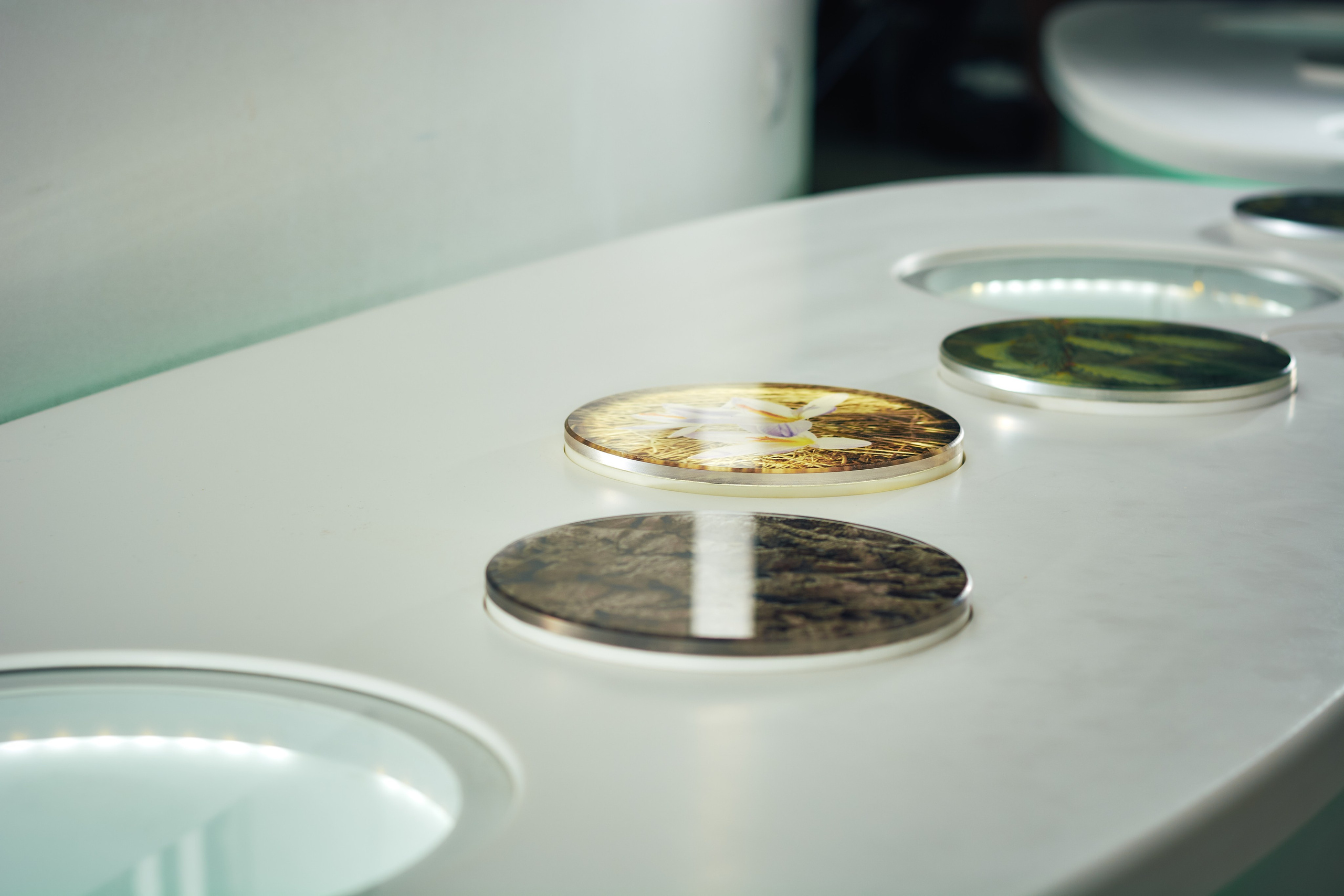 Интерьерная съемка Визит-центр Национальный парк «Кисловодский». Константин Кордонский | Интерьерный и food-фотограф в Кисловодске и КМВ