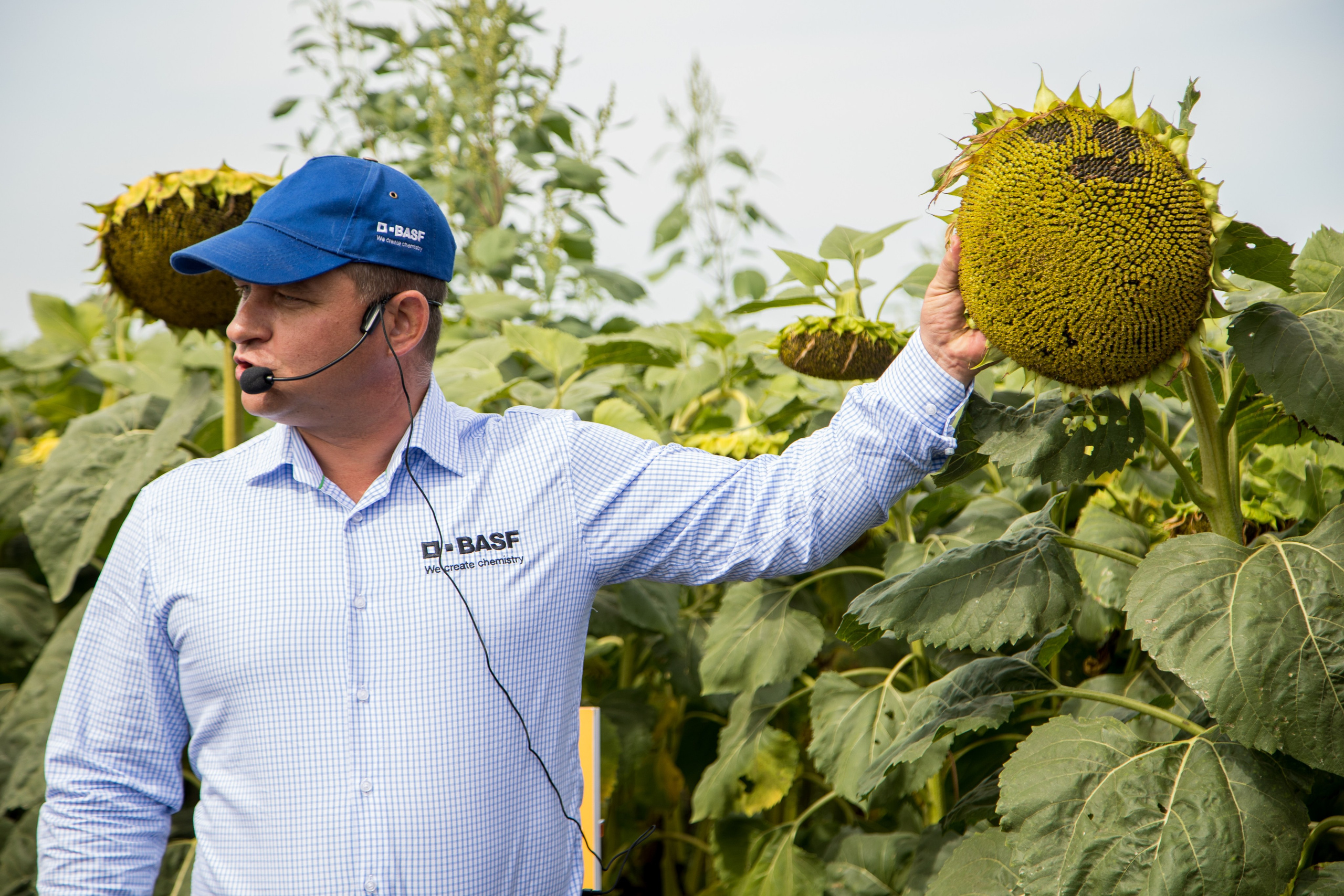 Решения для сельского хозяйства BASF 16.08.2022. Владислав Волков | Фотография и видеосъемка в Воронеже