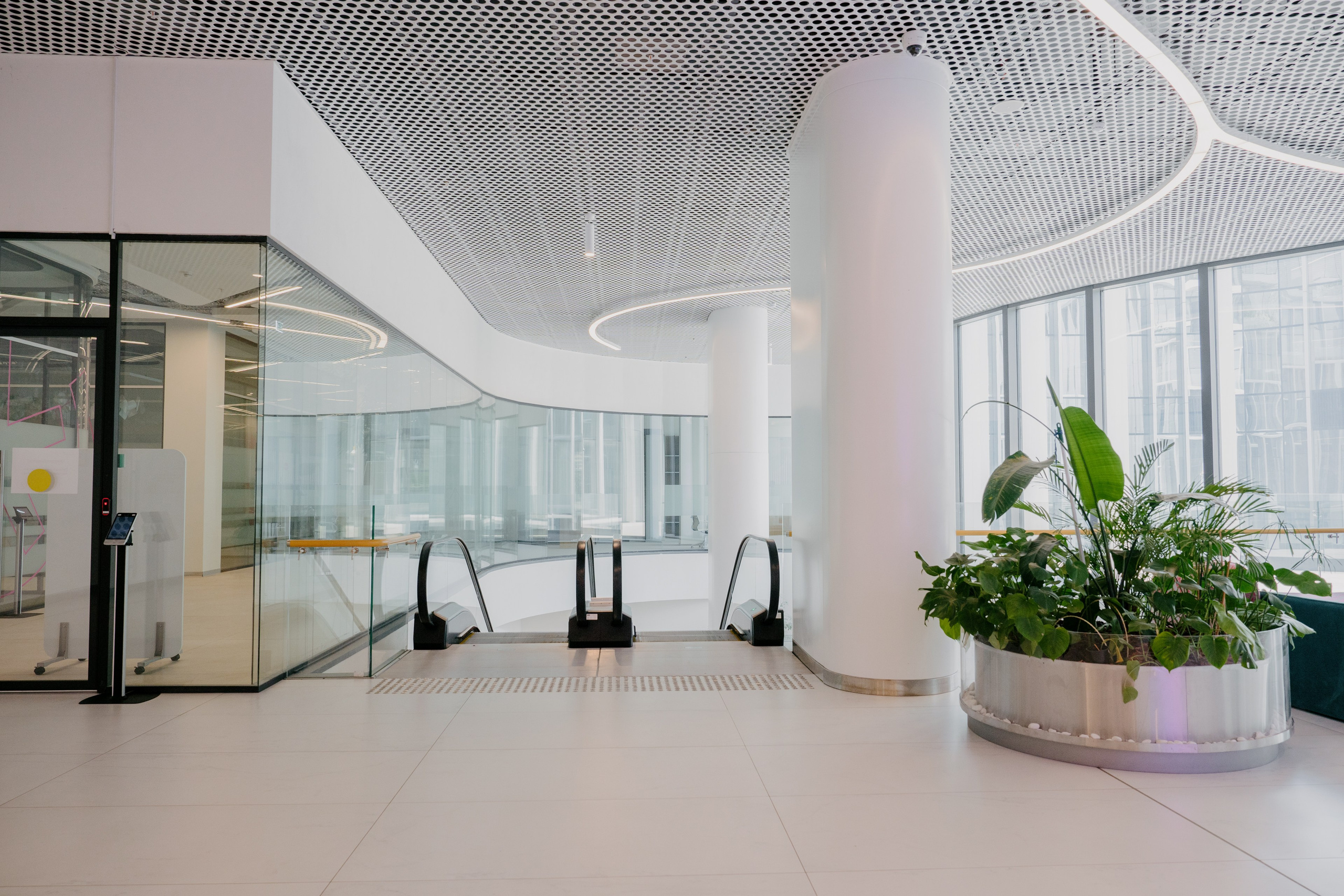 Кластер Ломоносов. Фотобанк Матемаркетинг