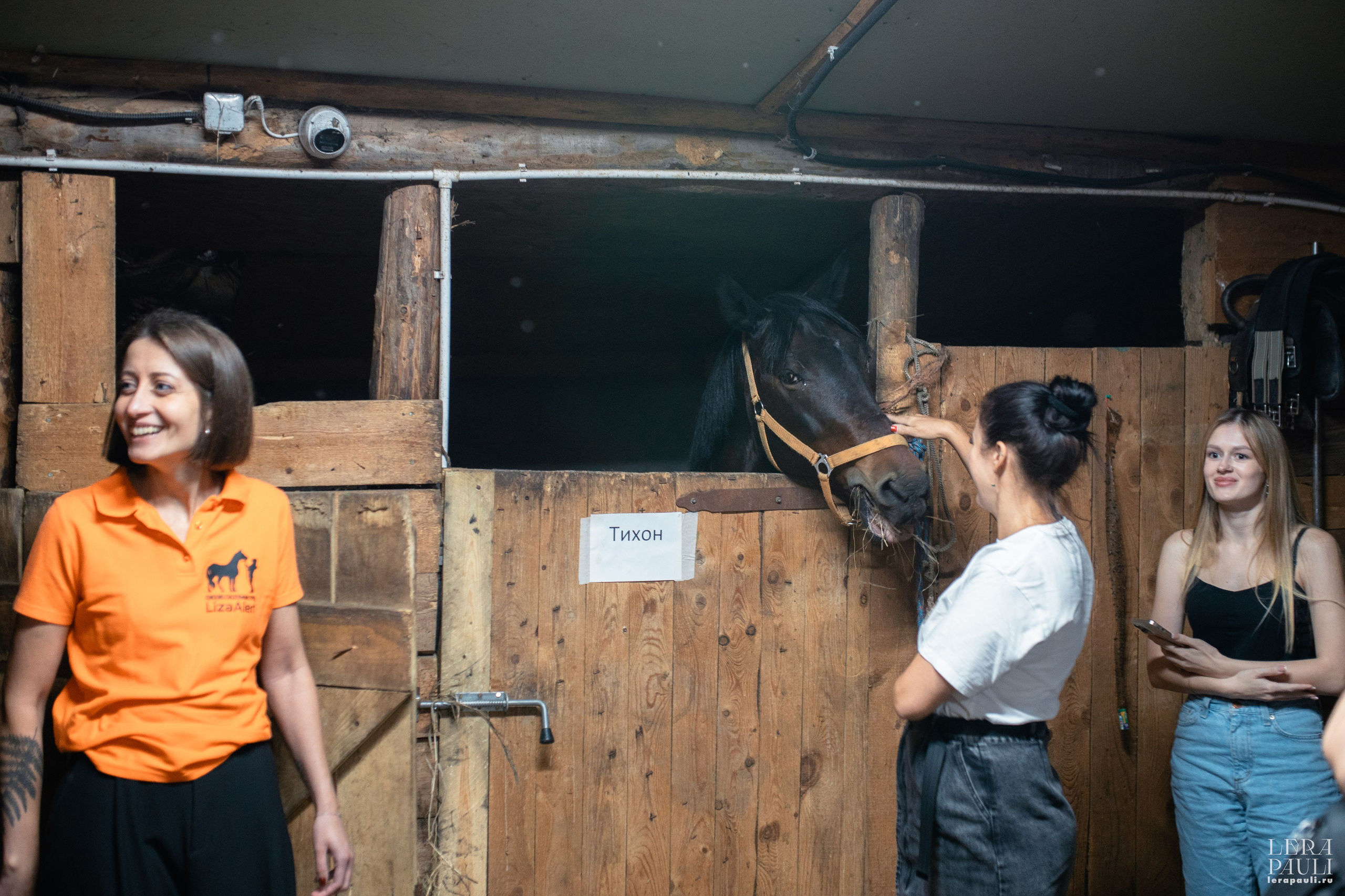 ДПСО «ЛизаАлерт». Главная