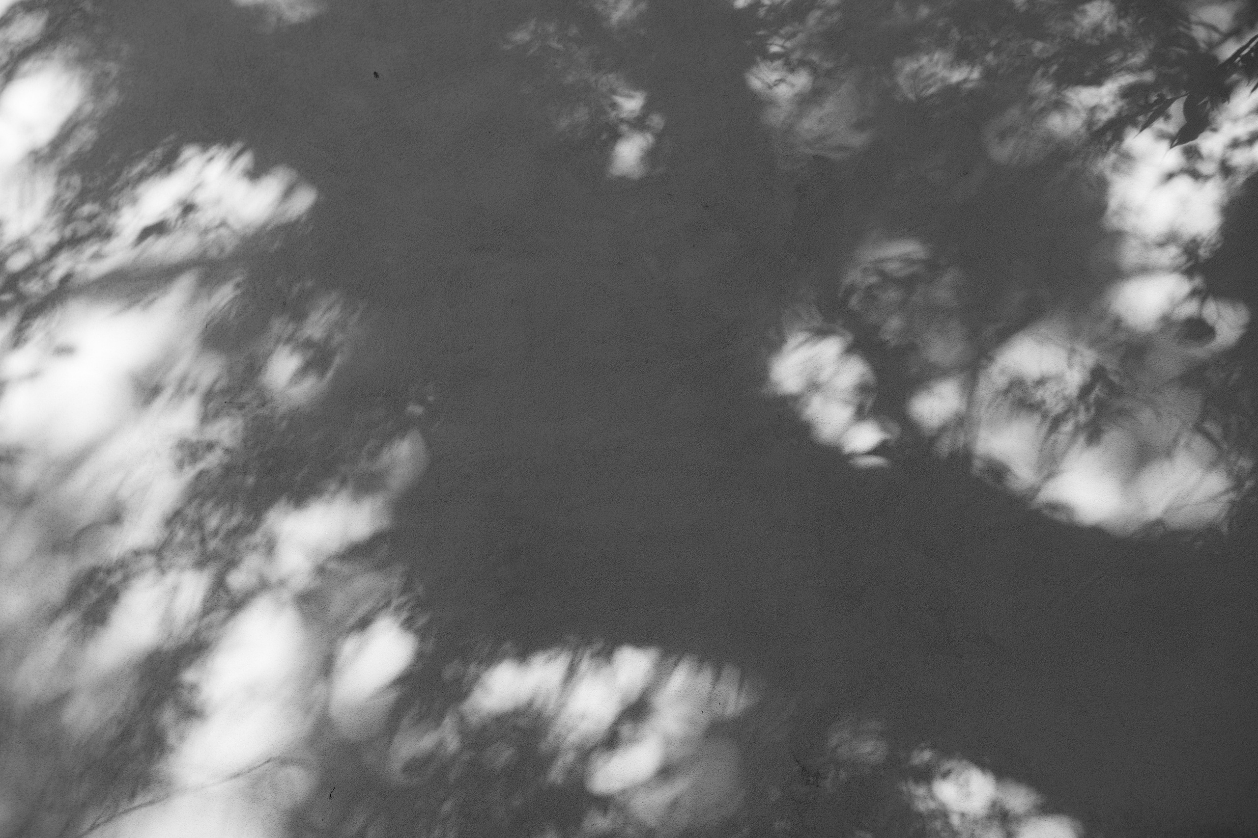 Art prints. Фотограф алина стерхова, алина стерхова фотограф, фотограф москва