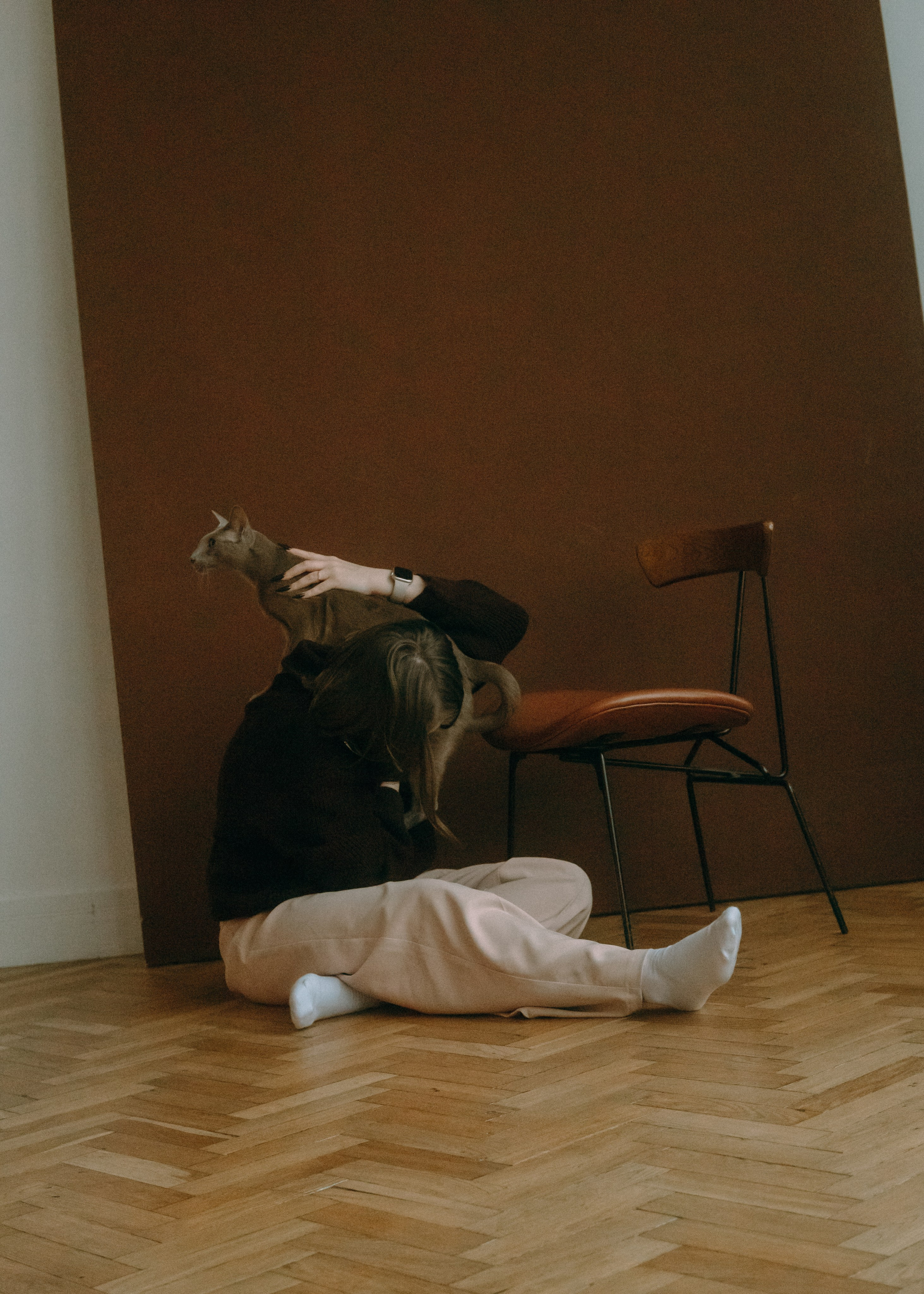 Амина, Булат и Орион. Фотограф-анималист Ксения Воробьева, Москва