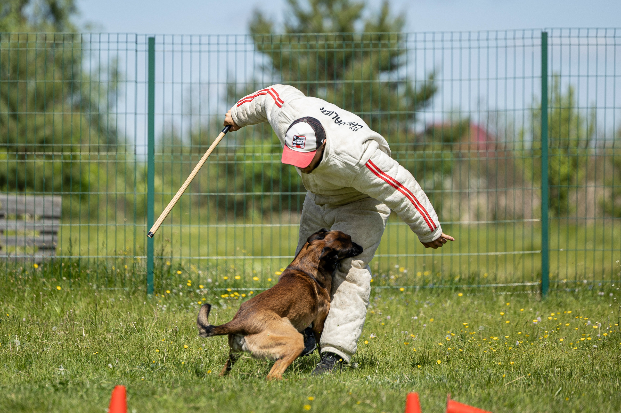 Испытания по мондьорингу в Нижнем Новгороде. Фотограф-анималист Анна Маринич