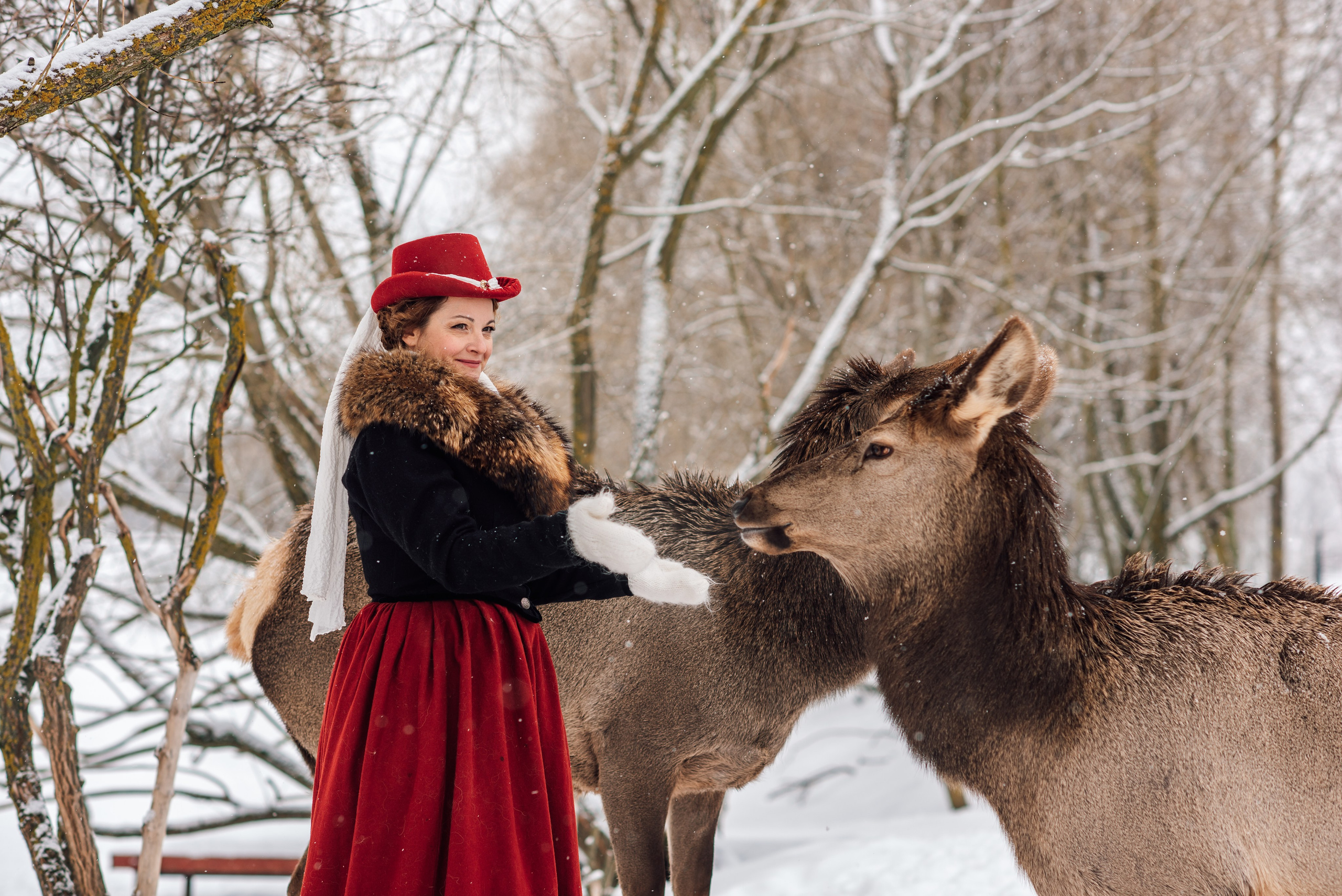 Зимняя парфорсная охота. Фотограф Диана Вальтер