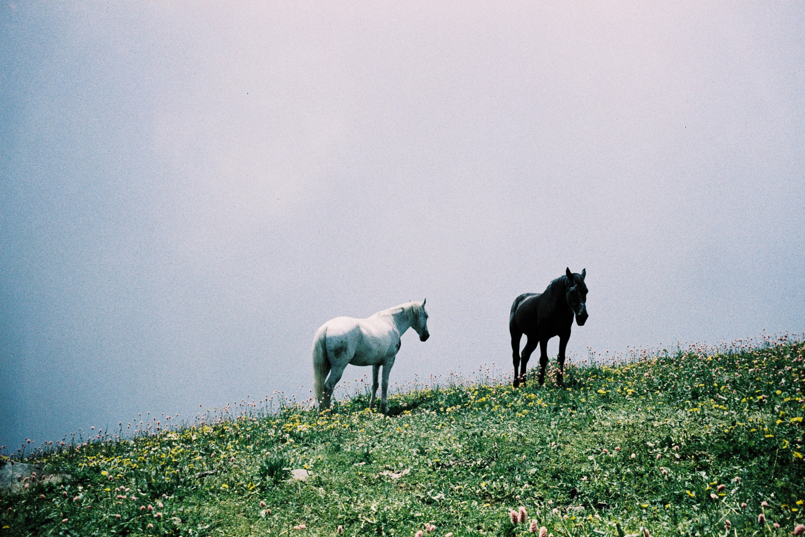 IN THE MOUNTAINS. Любовь Моргасова [LU SPRING]: Фотограф и куратор