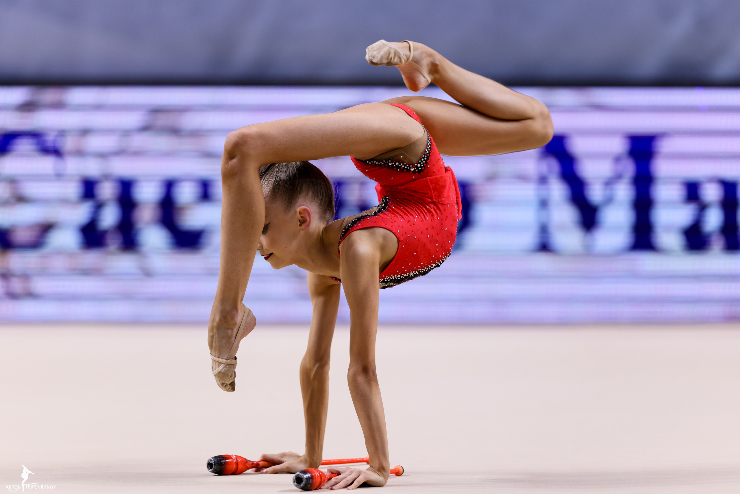Жемчужины Санкт-Петербурга 10-12.10.2025. Спортивный и репортажный фотограф Антон Тереханов