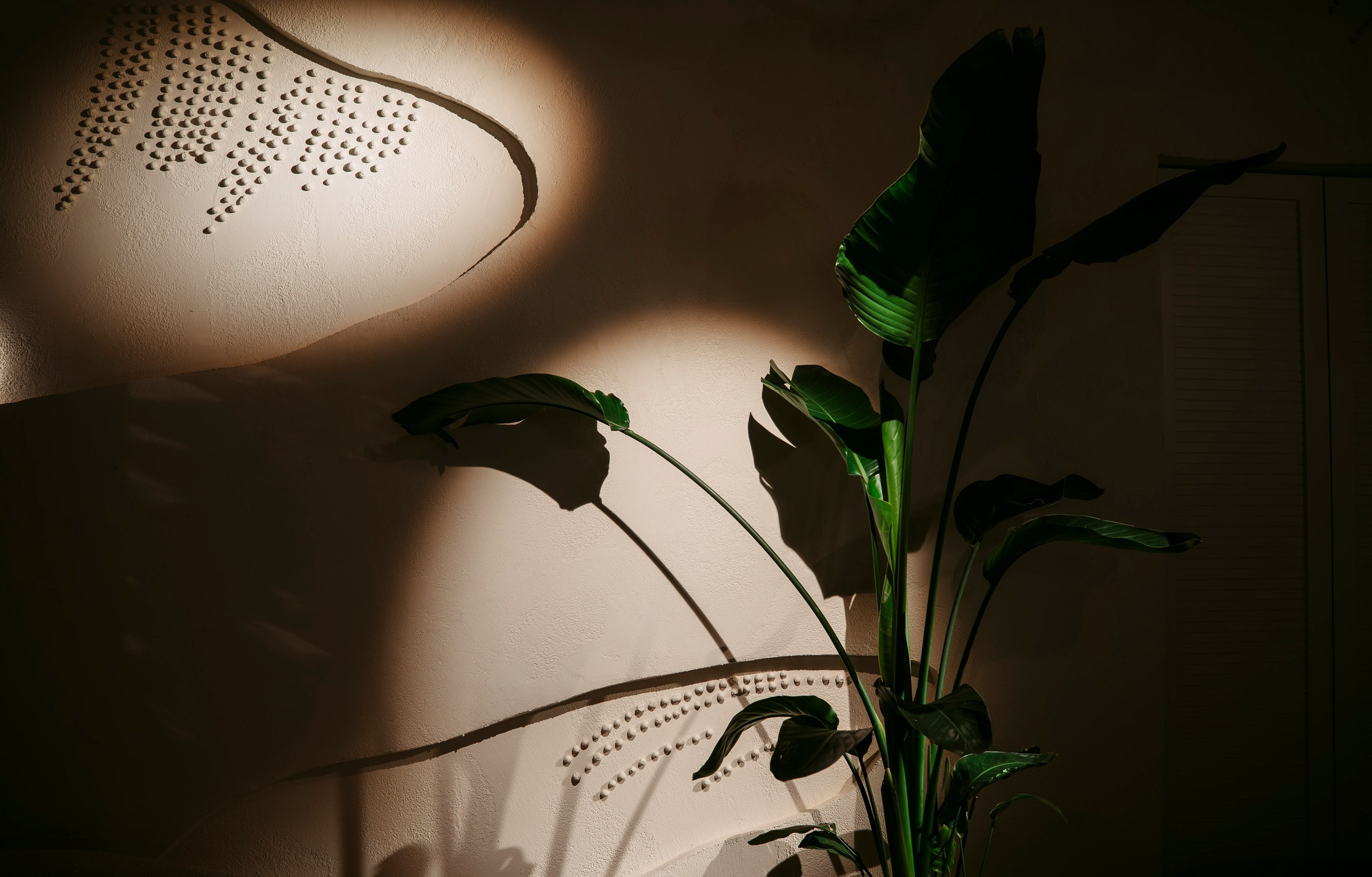 Юг22 х Enter. Саша Копылов, фотограф в Казани