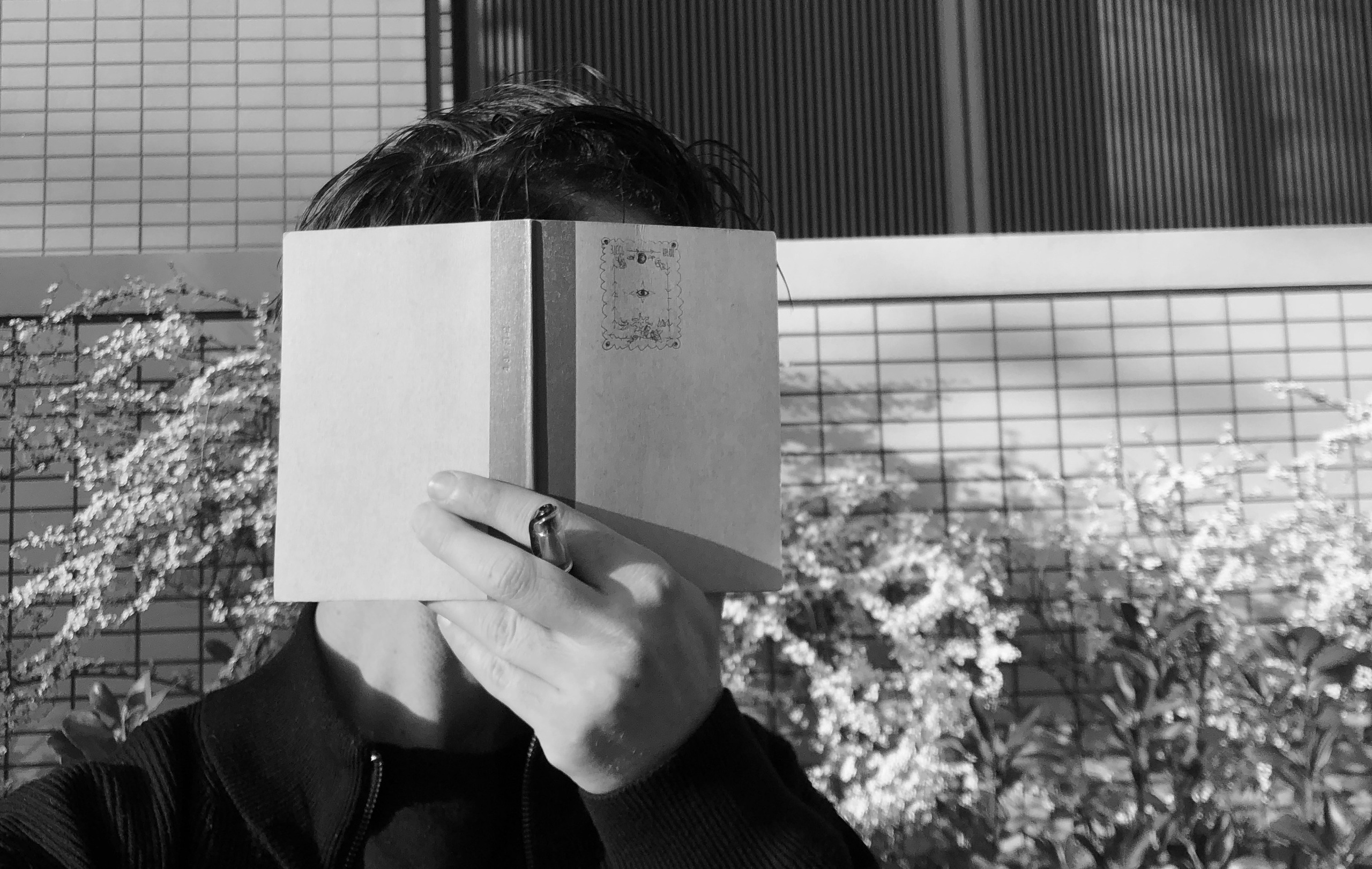 Кисловодск — Токио. Смотри, красота!