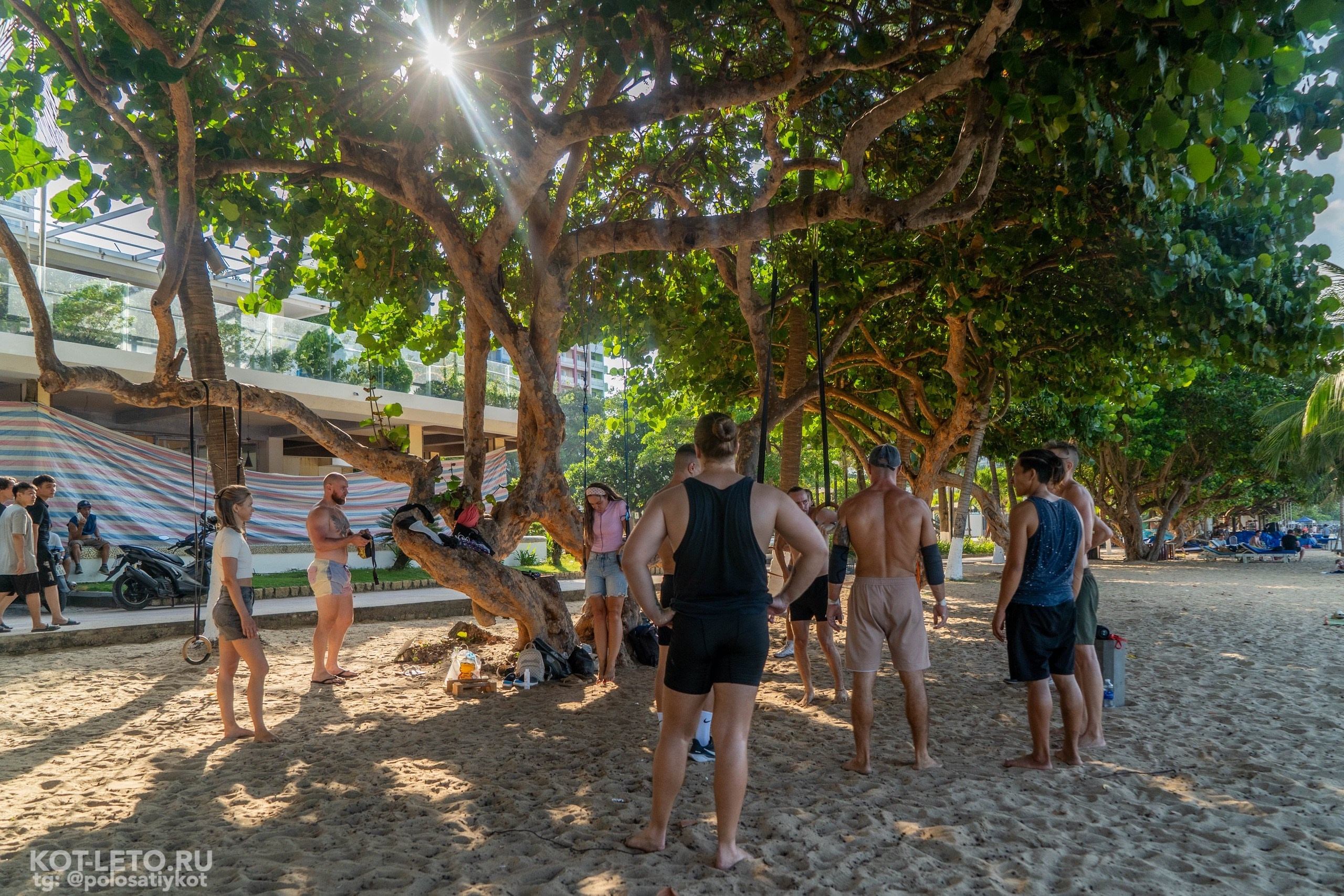 Ring Workout. Твой фотограф — Полосатый кот