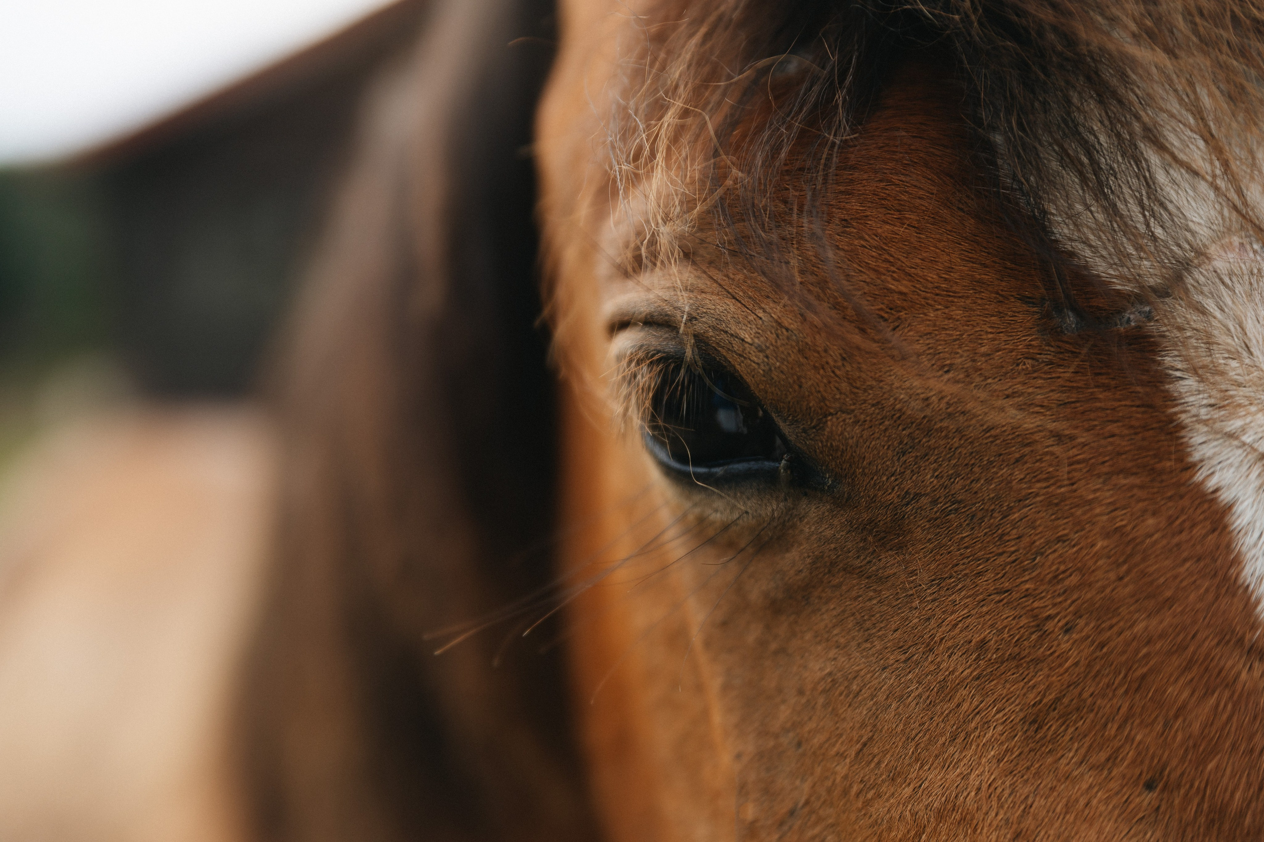 Тур — девичник LEF.TRAVEL.CLUB. KRIS KRUPINNIKOVA