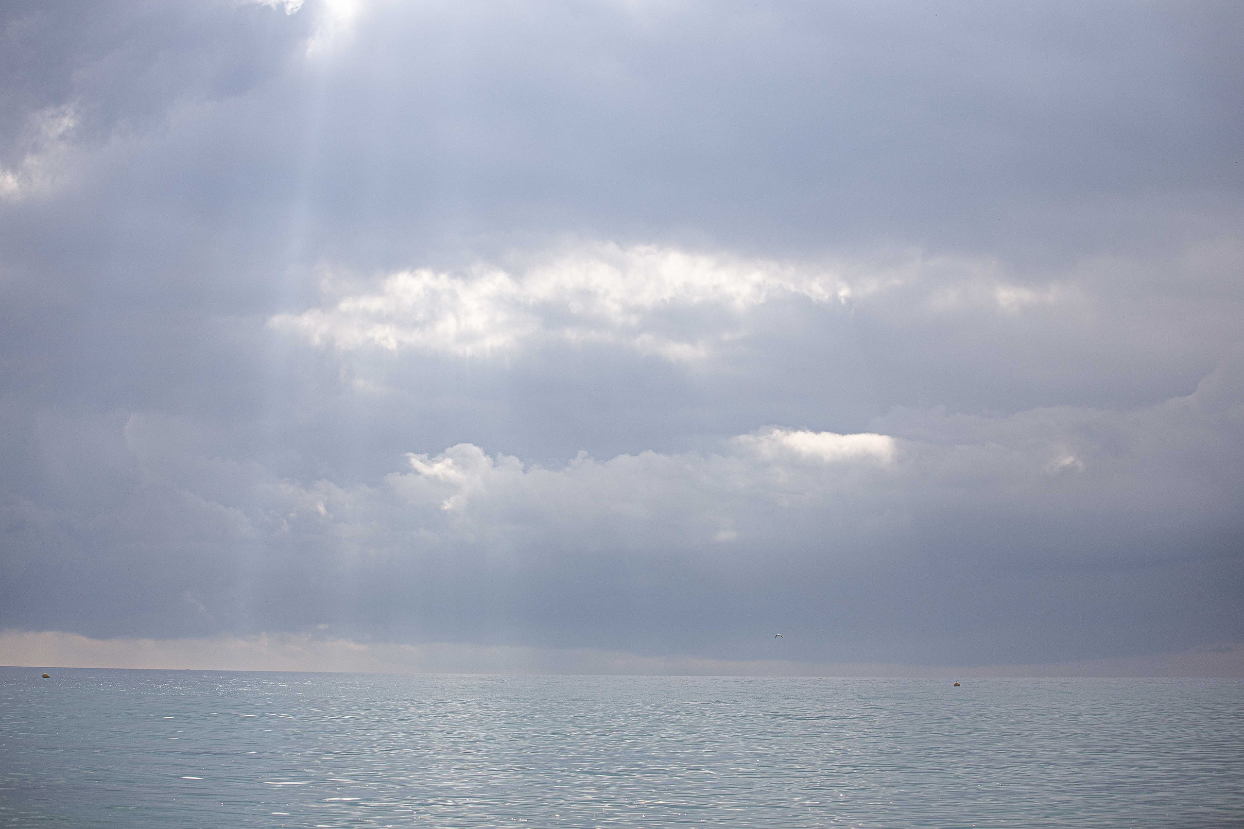 Anastasia Shapoval violoniste et photographe. Annecy — Geneve