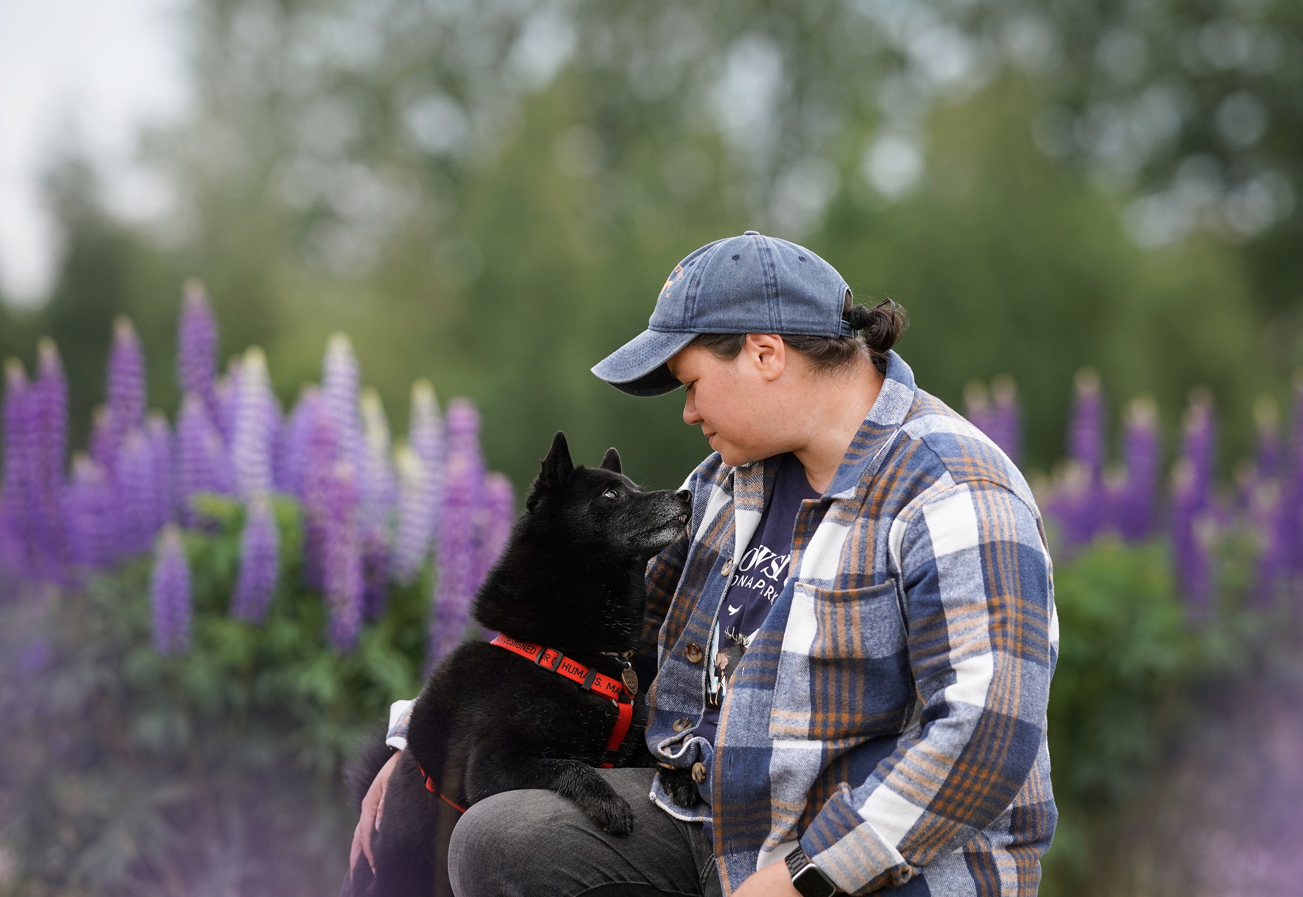 Аня Арчи и Панда в люпинах. Фотограф-анималист в Санкт-Петербурге Яна Мартынова