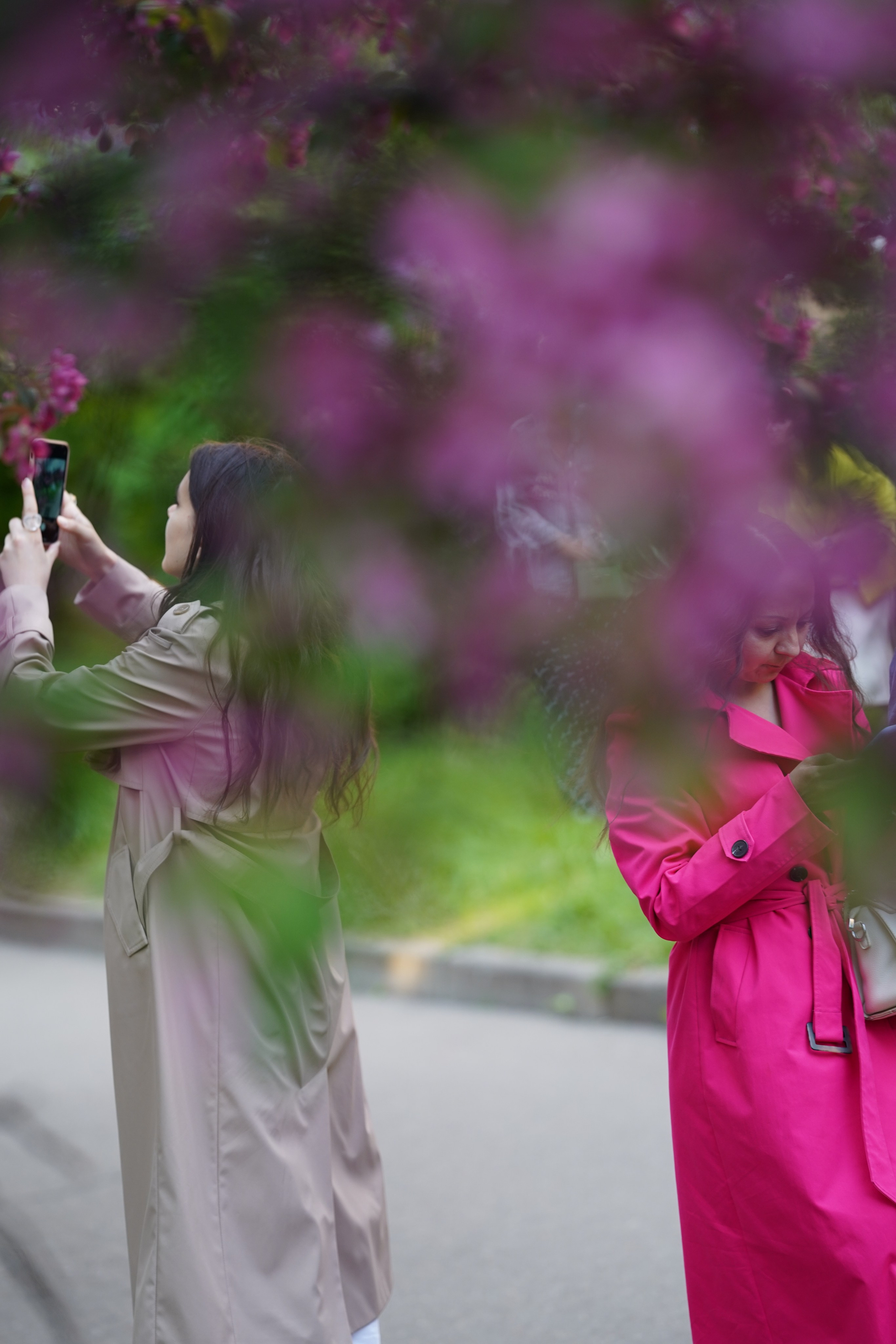 Весна. Фотограф в Москве Мария ~Zagagul~