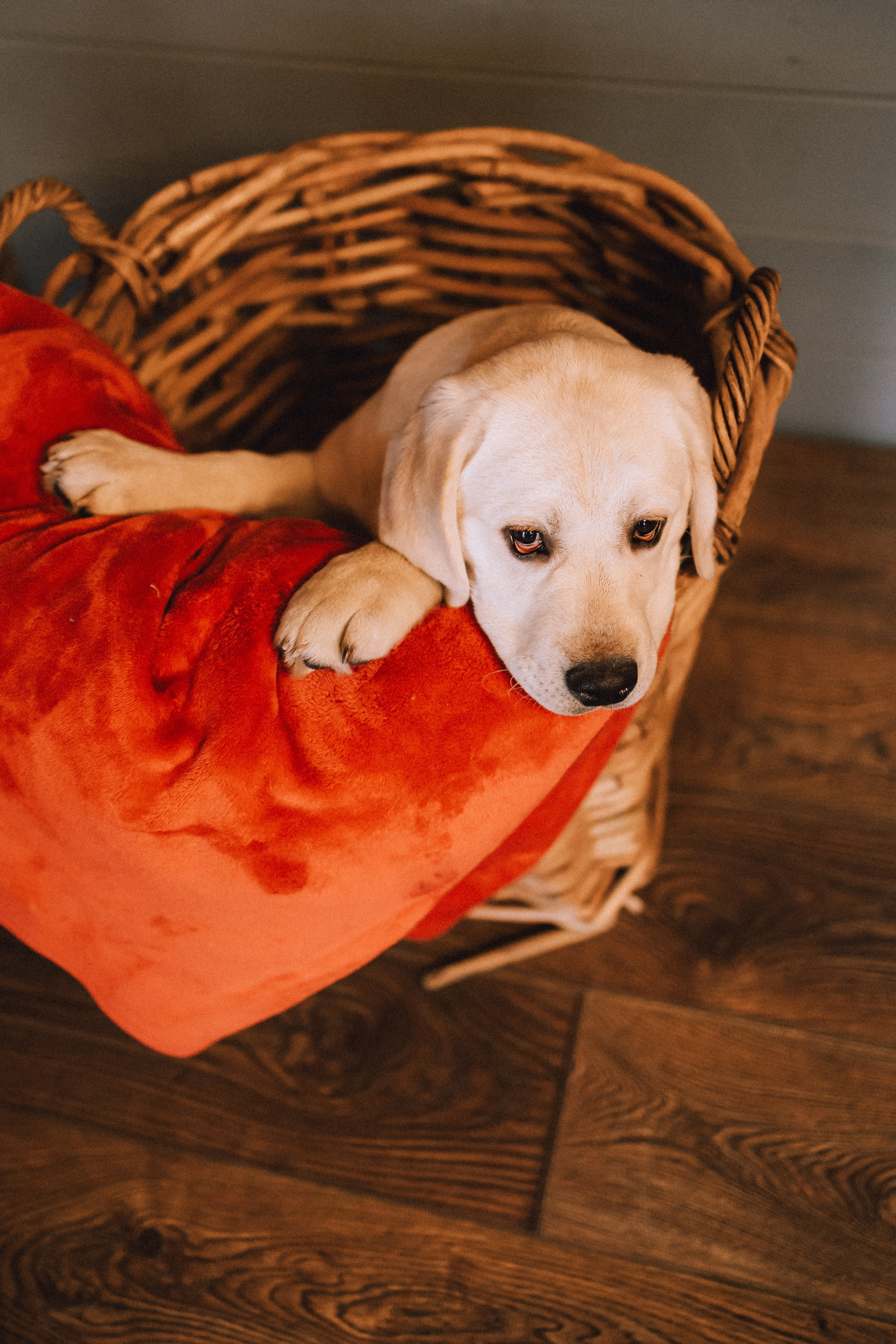 Ума, Берта и их семья