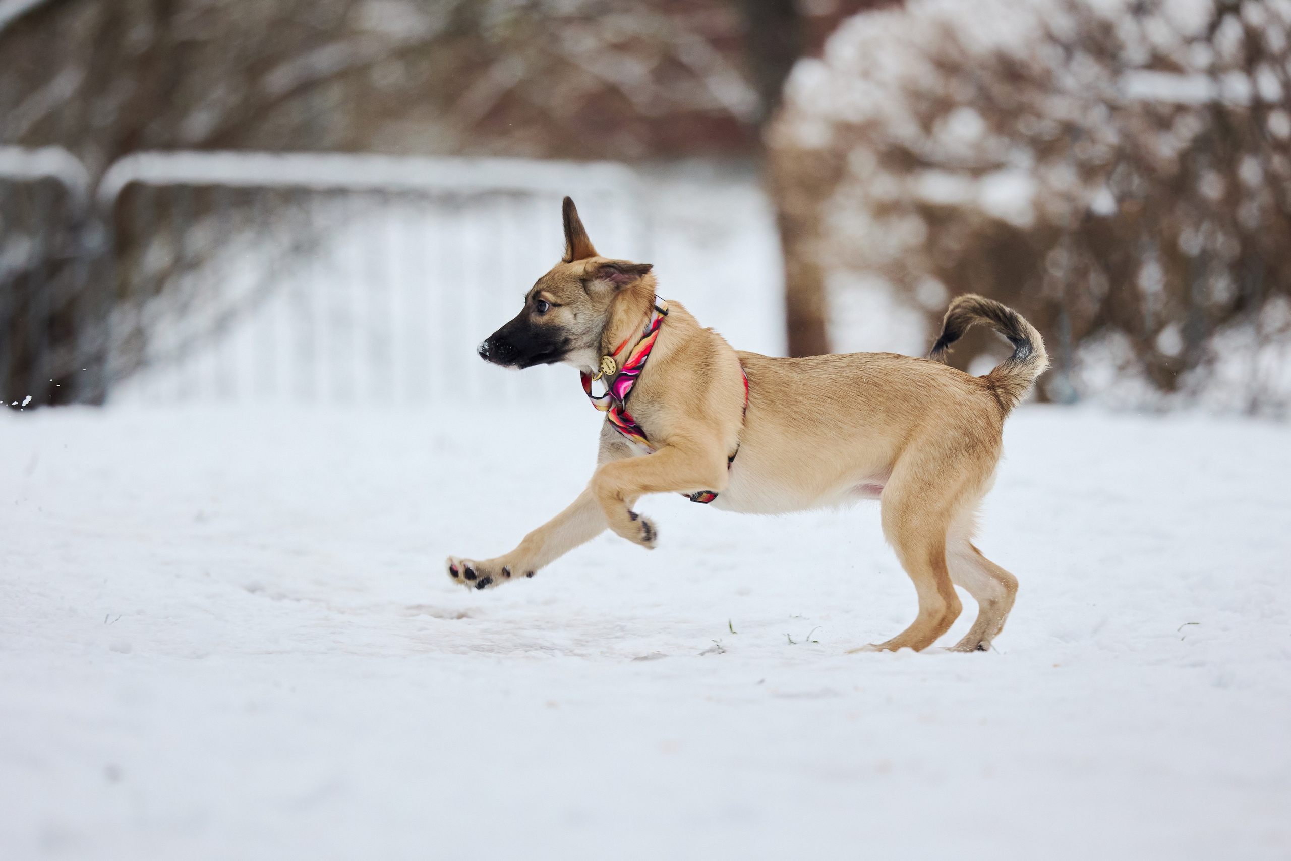 Пиар. Фотограф Ирина Астор