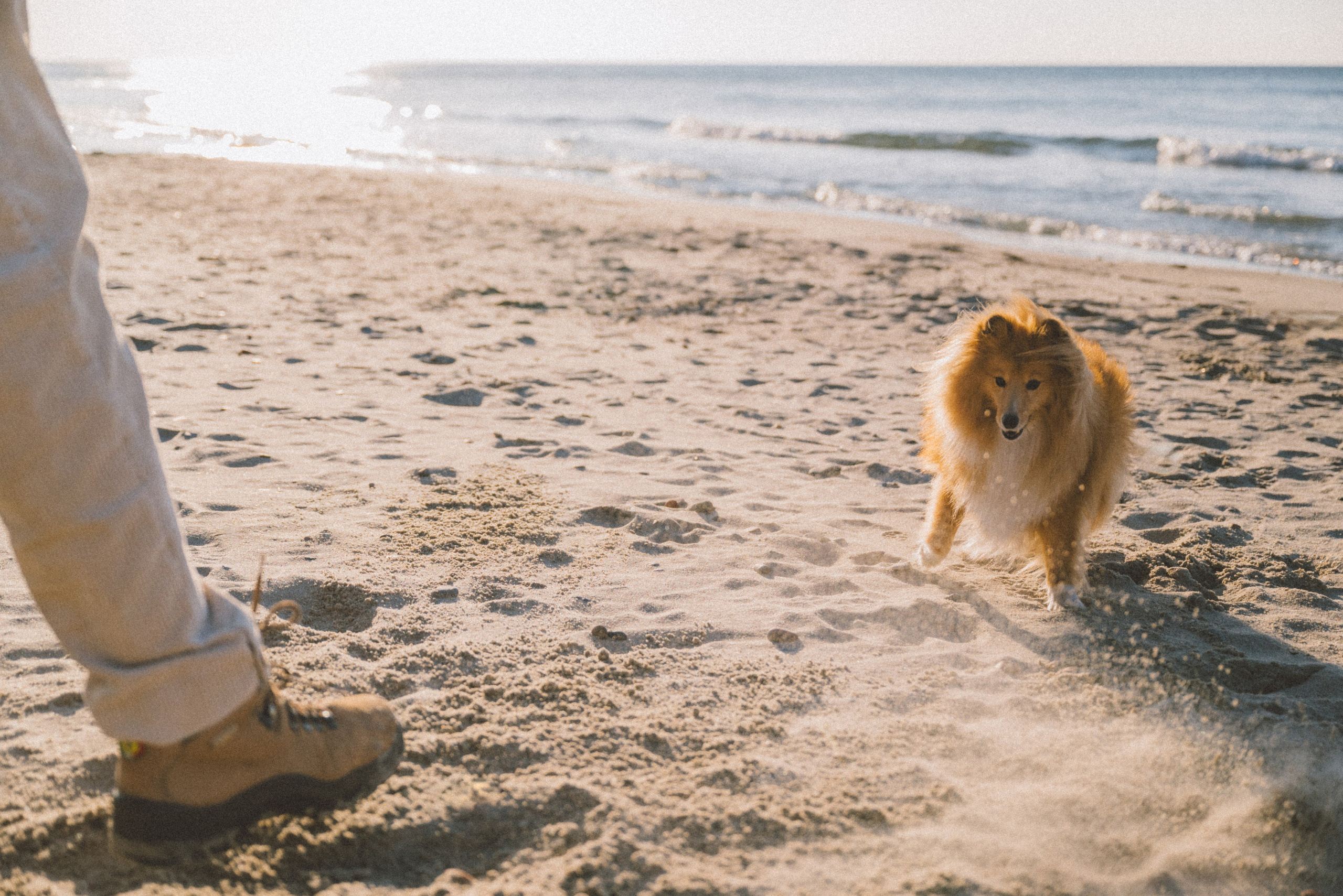 Анна и Артем. Фотограф Калининград Ангелина Воробьева