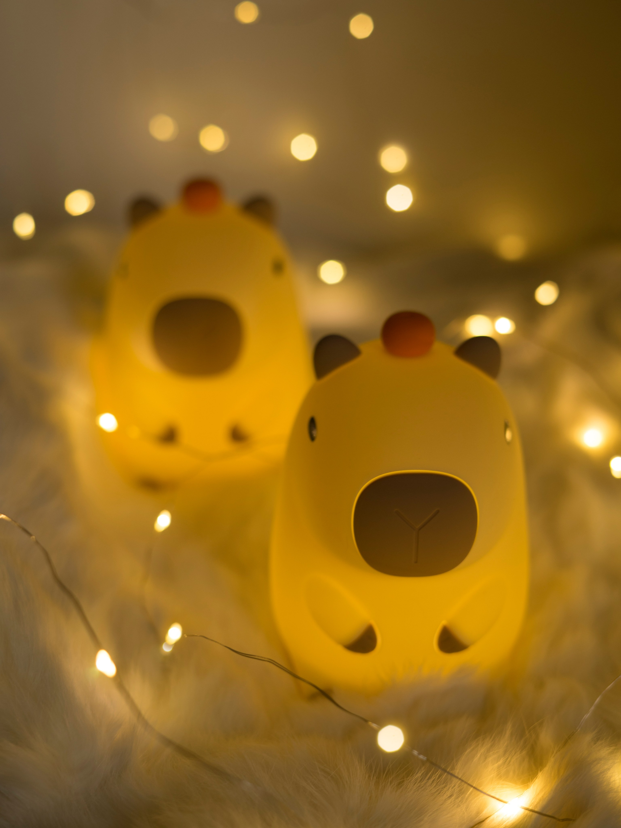 Ночник. Концептуальный фотограф Шлыкова Ольга