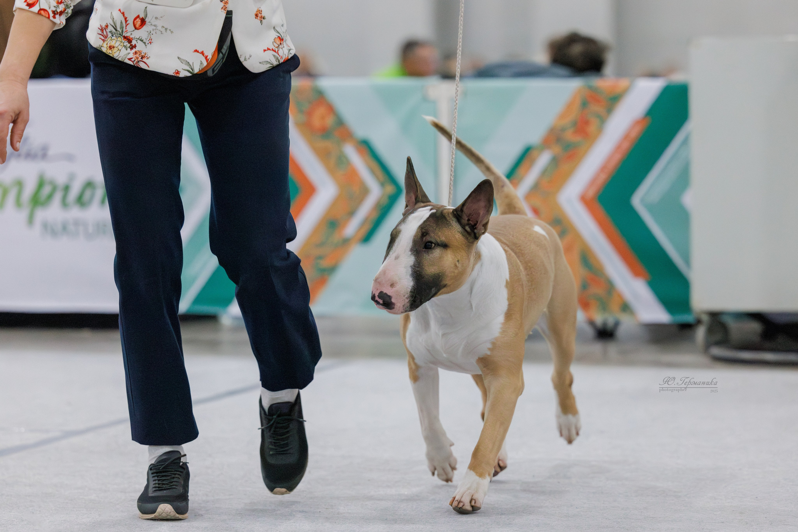 Евразия 15-16.11.2025. Фотограф-анималист Юлия Германика