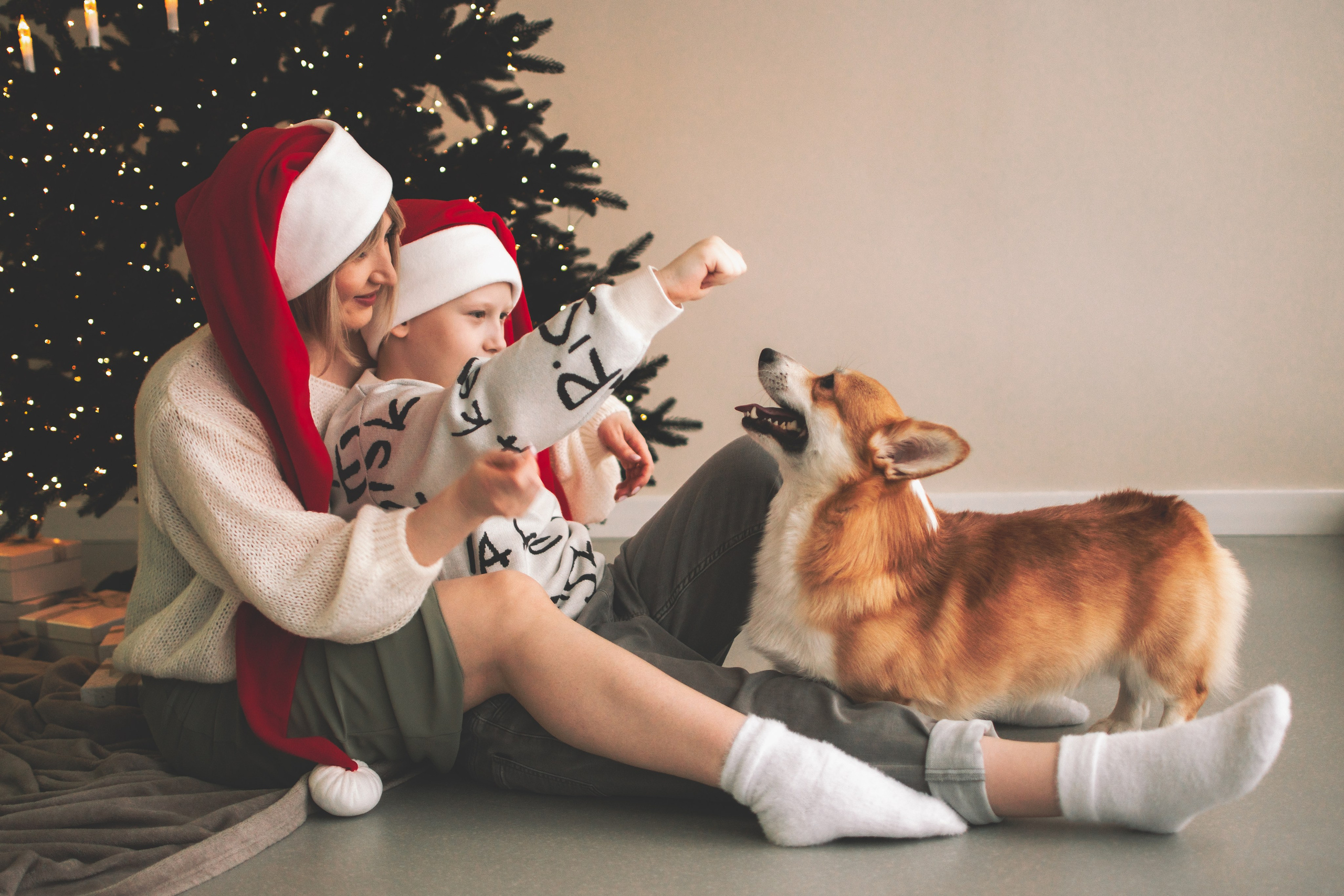 Степан и Анастасия. Семейный и свадебный фотограф Губкинский и Ставрополь