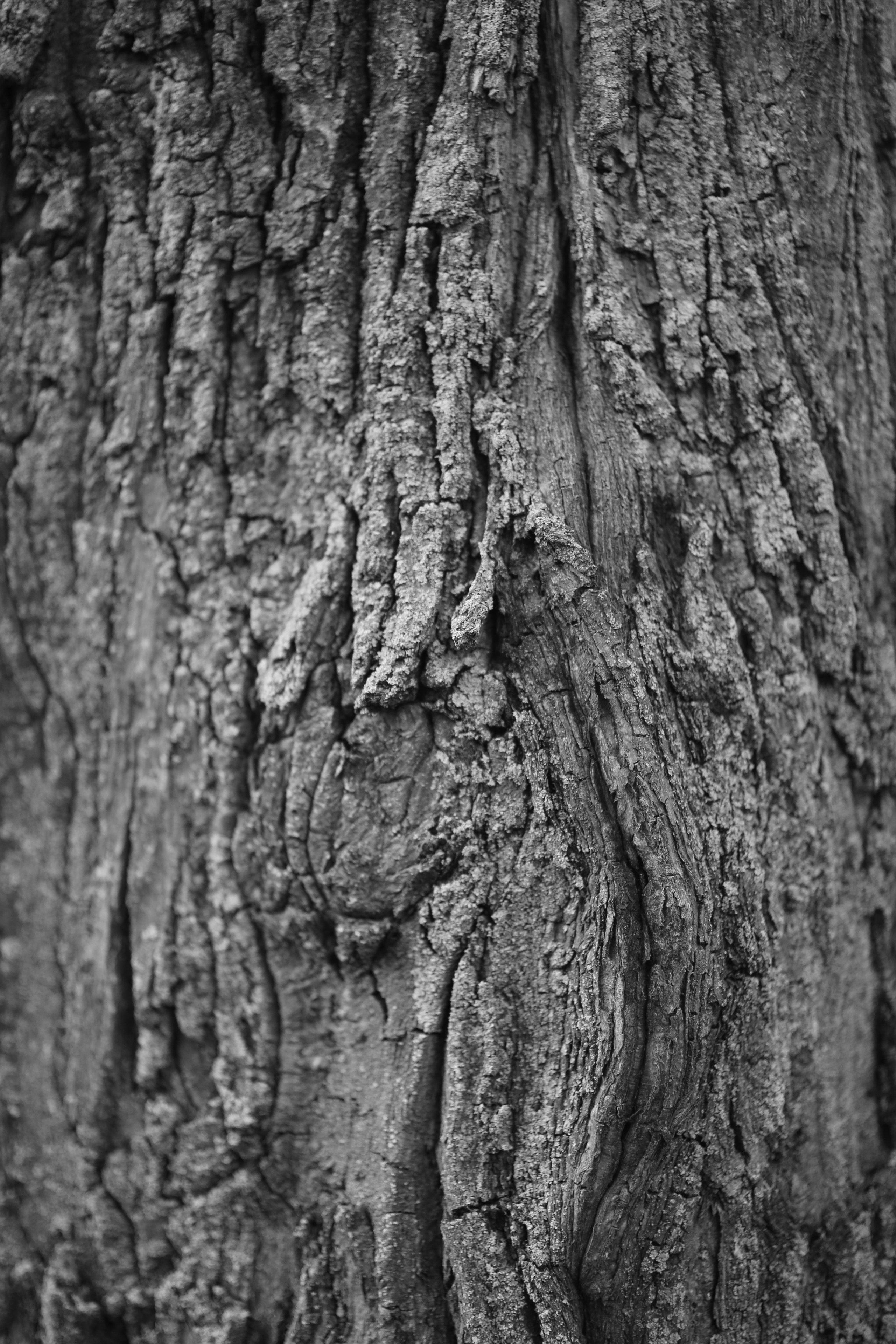 Накануне Ивана Купала. Свадебный и репортажный фотограф в Ярославле и Санкт-Петербурге Роман Микрюков