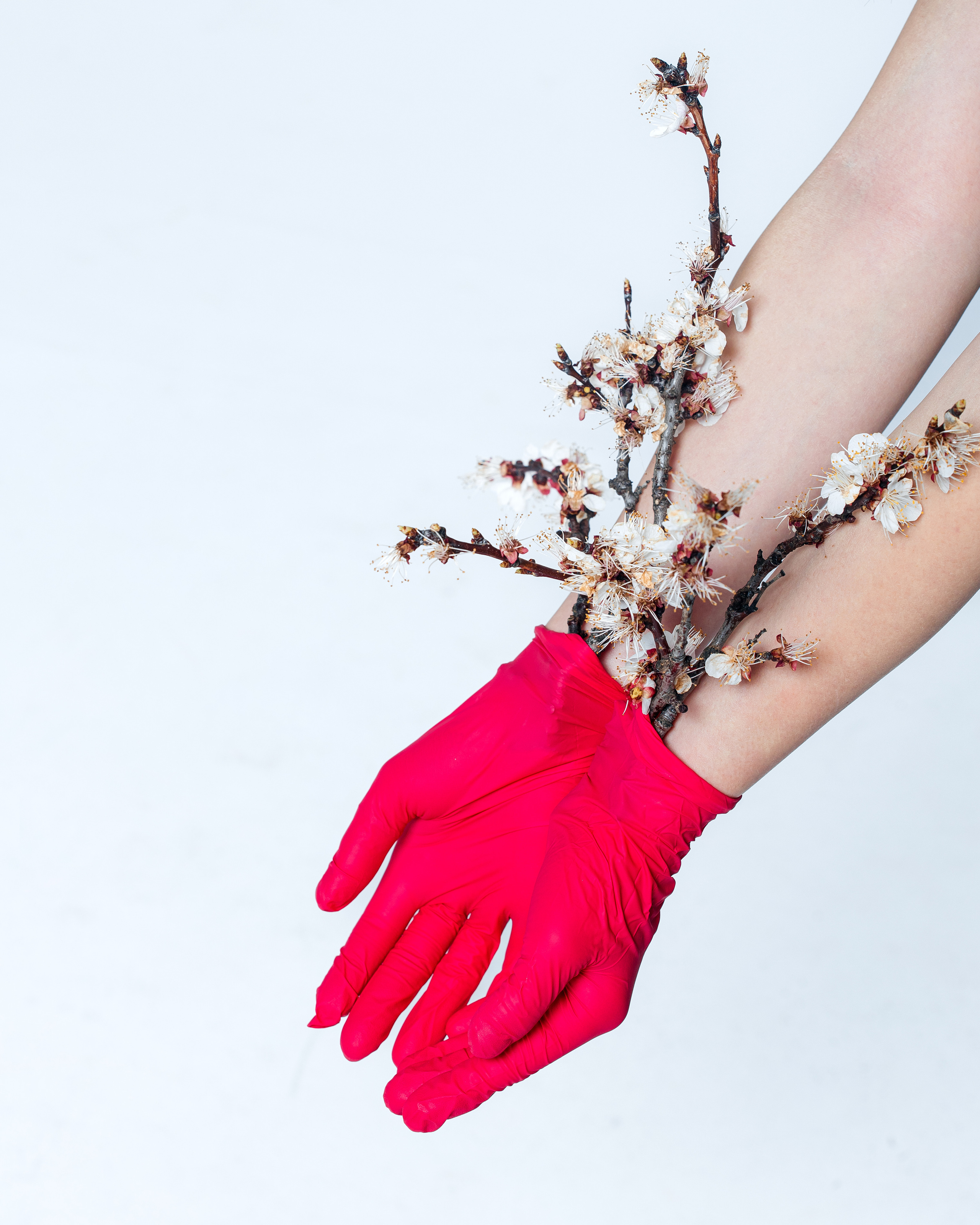 Профессиональная контент съемка. Свадебный и семейный фотограф в Краснодарском крае Мария Данилкина