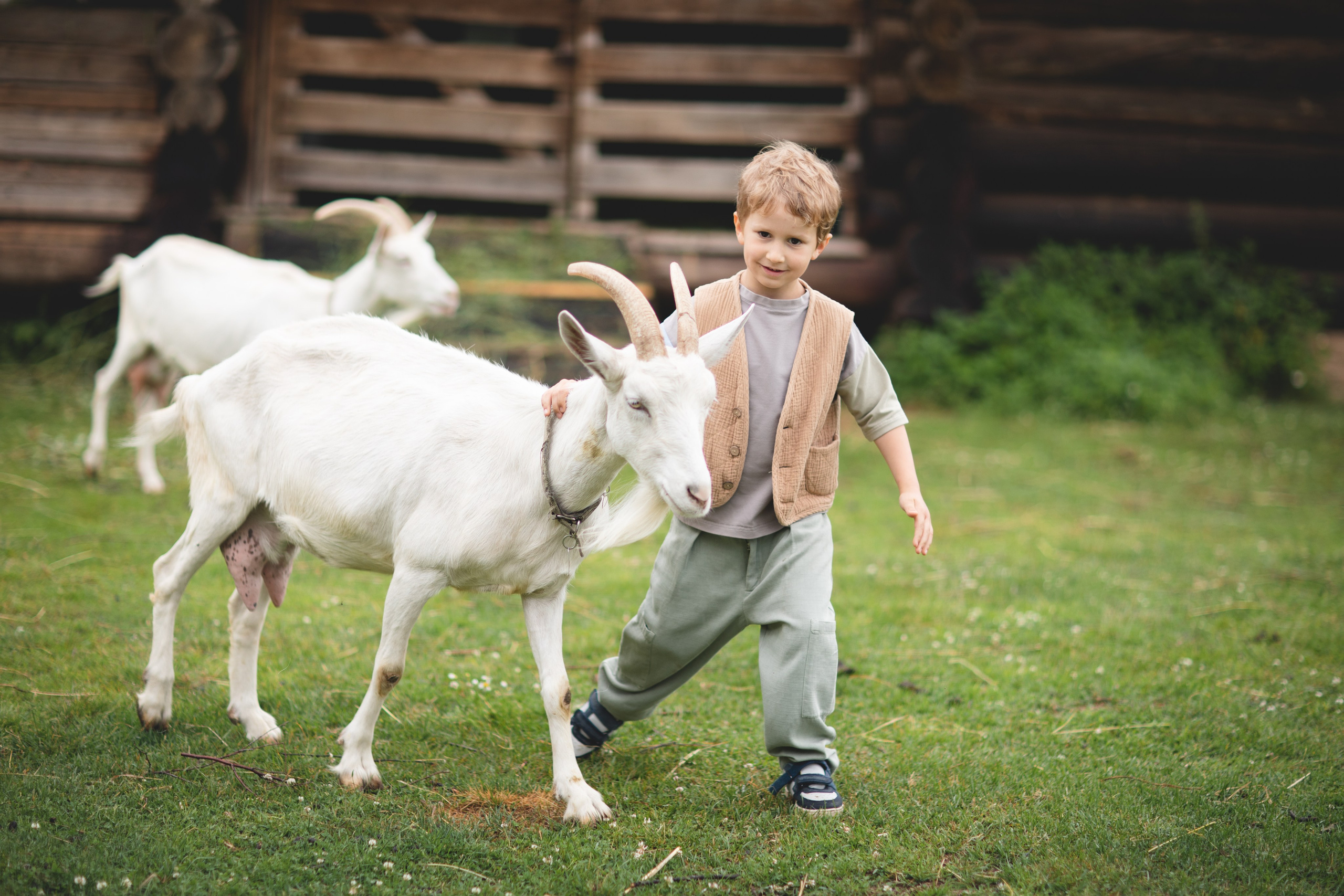 Фототуур «Край озёр» Лето. Семейный фотограф в Москве Анастасия Гурьянова