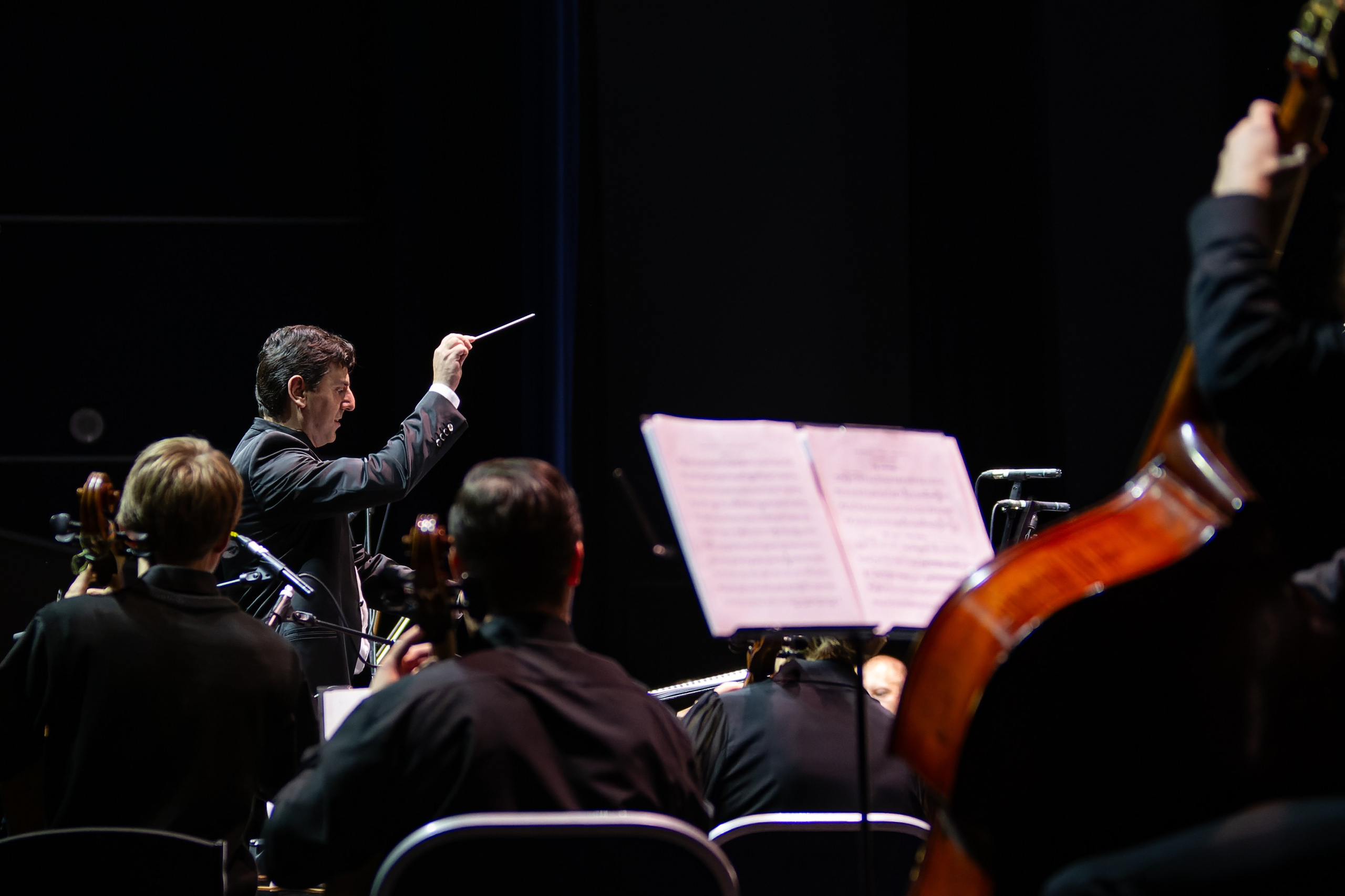 Концерт Южно-Сахалинского симфонического оркестра. Кутузов Евгений Фотограф в Южно-Сахалинске