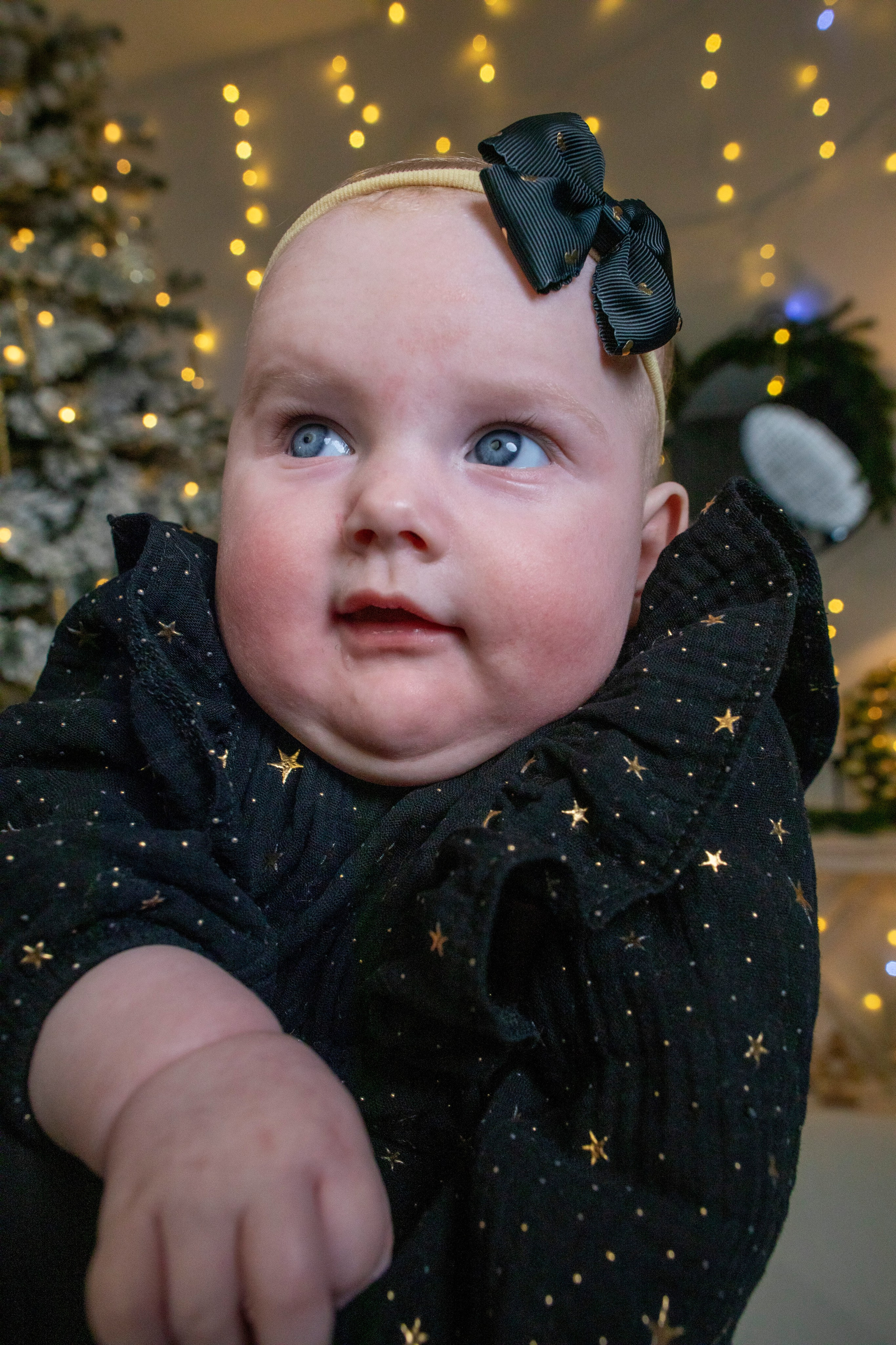 Семейные новогодние. ФОТОХУДОЖНИК