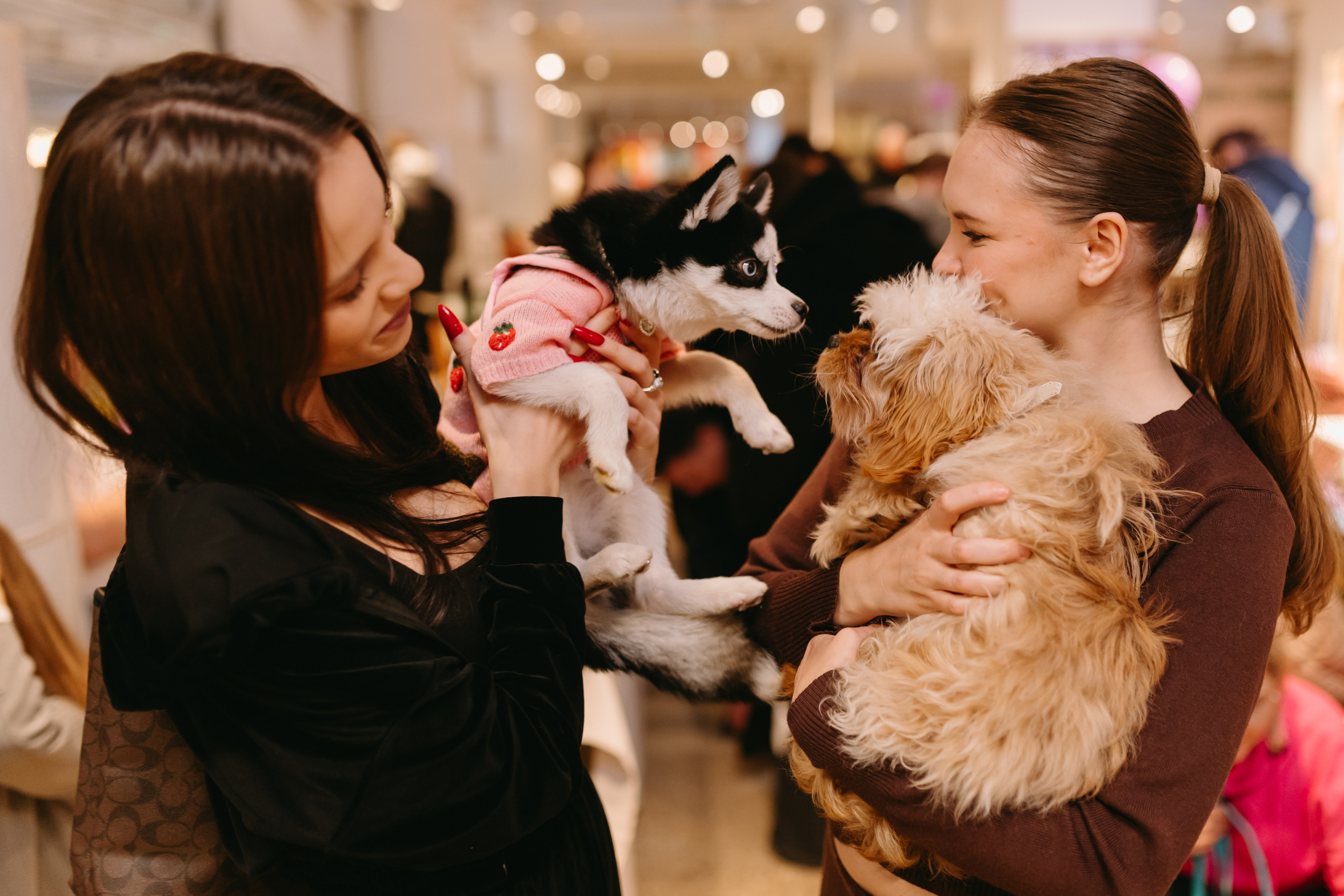 Frisky Dog Day. Фотограф Ирина Авдеева