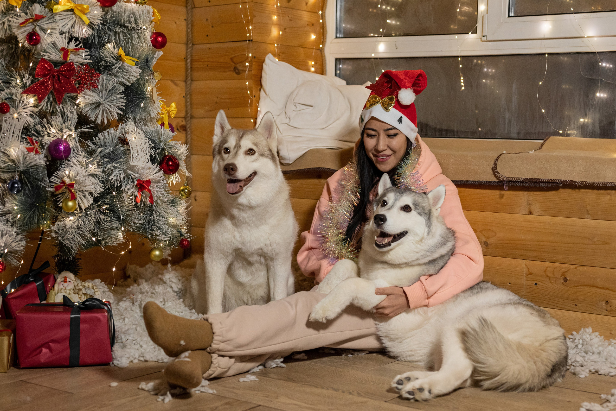 Фотопроект с хаски 2025 г. Фотограф в городе Салават