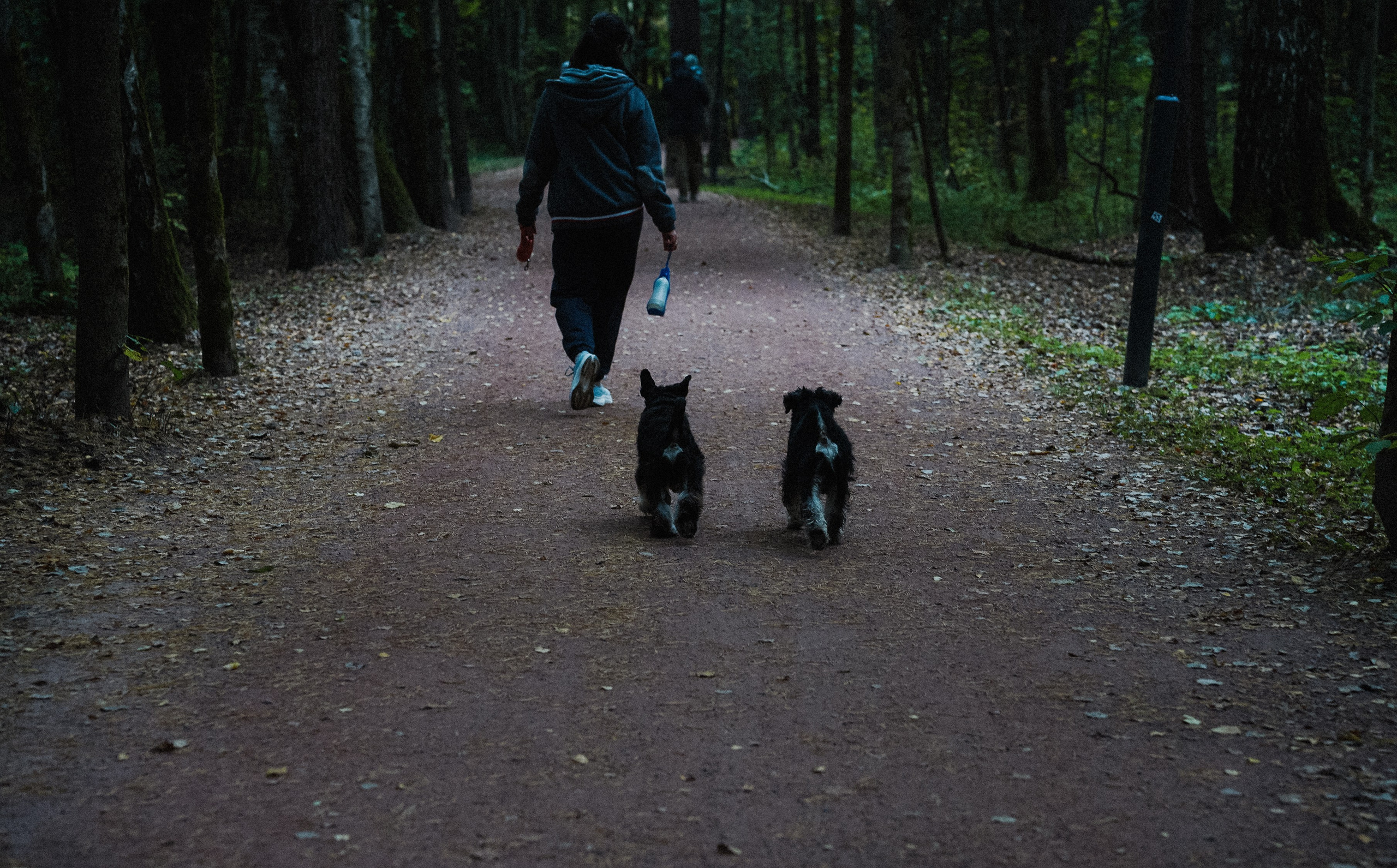 Осень 2025. Фотограф из Москвы — DASHA NOVA | Авторская фотография в разных жанрах