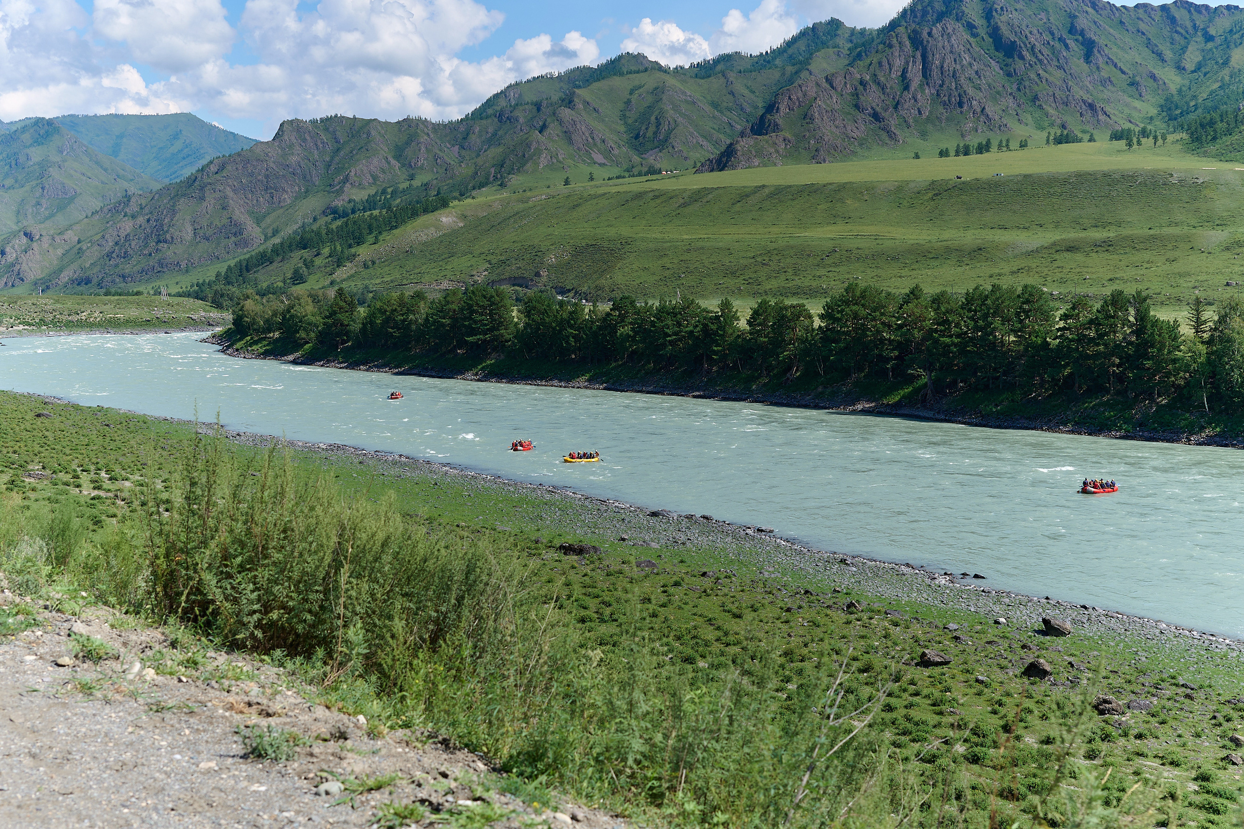 ДРПЗ 10 лет. Фотограф Опыт Качество Скорость Горный Алтай Барнаул