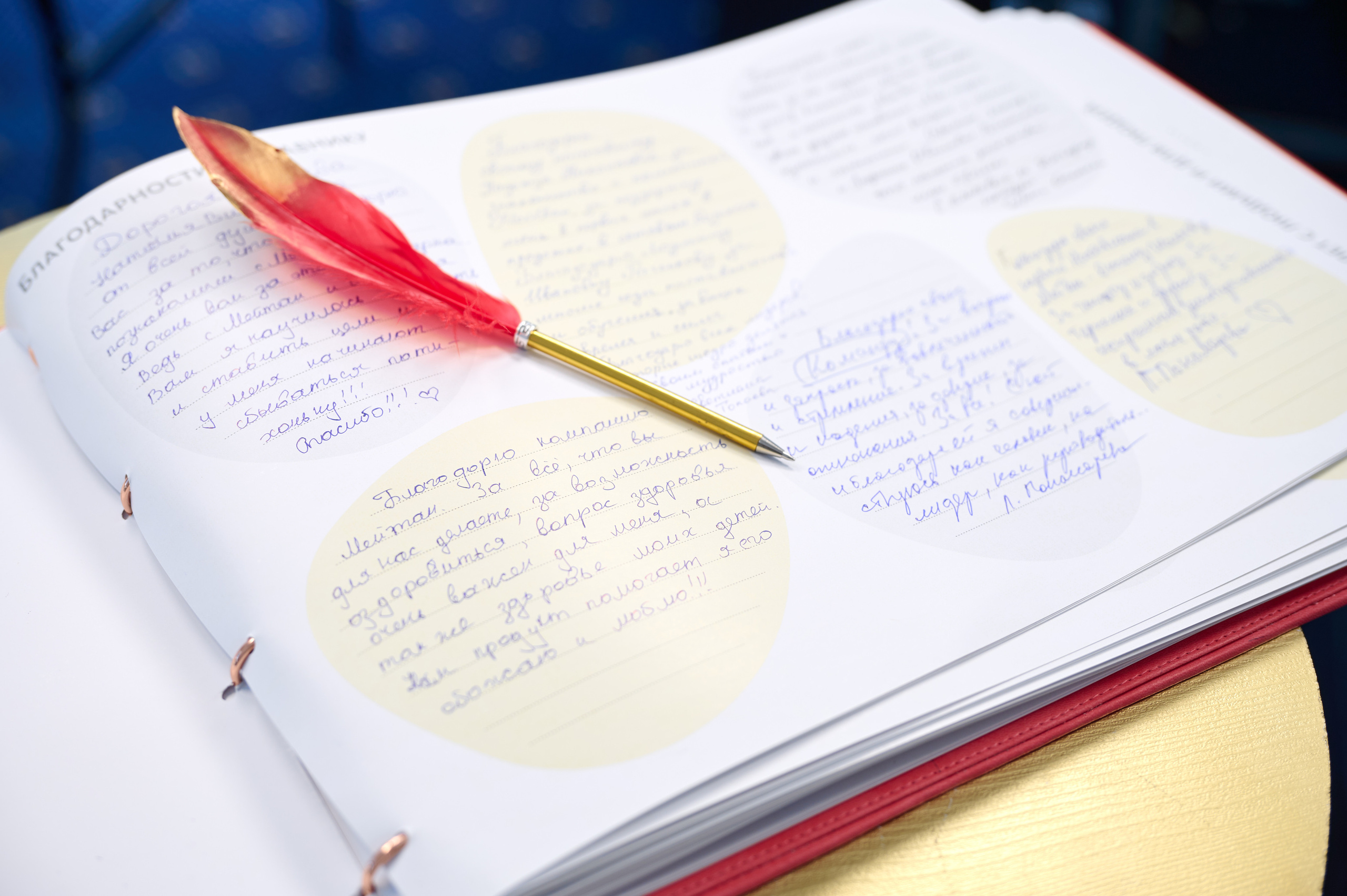 Мейтан юбилей. Фотограф Опыт Качество Скорость Горный Алтай Барнаул