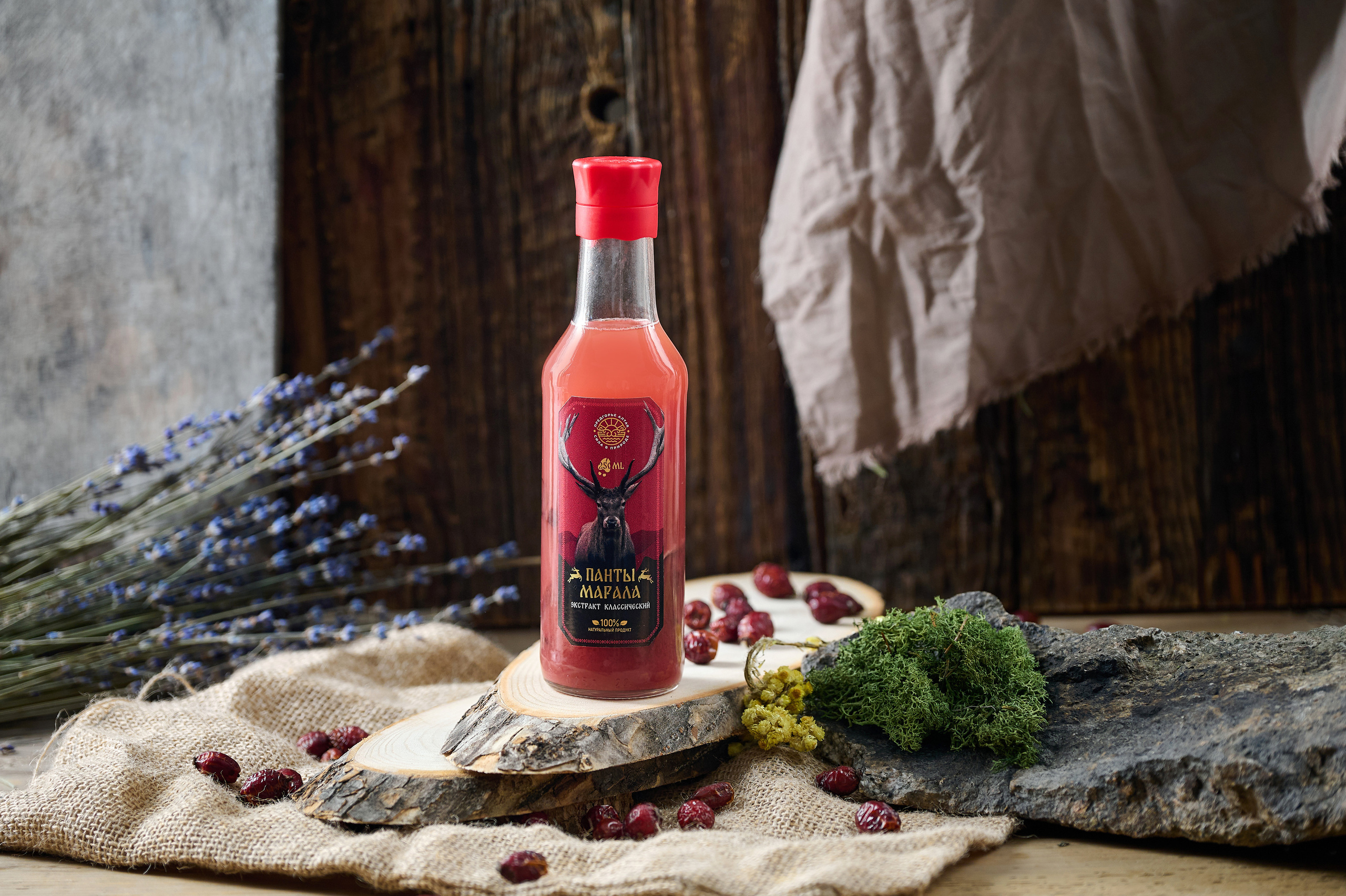 Предгорье Алтая. Фотограф Опыт Качество Скорость Горный Алтай Барнаул