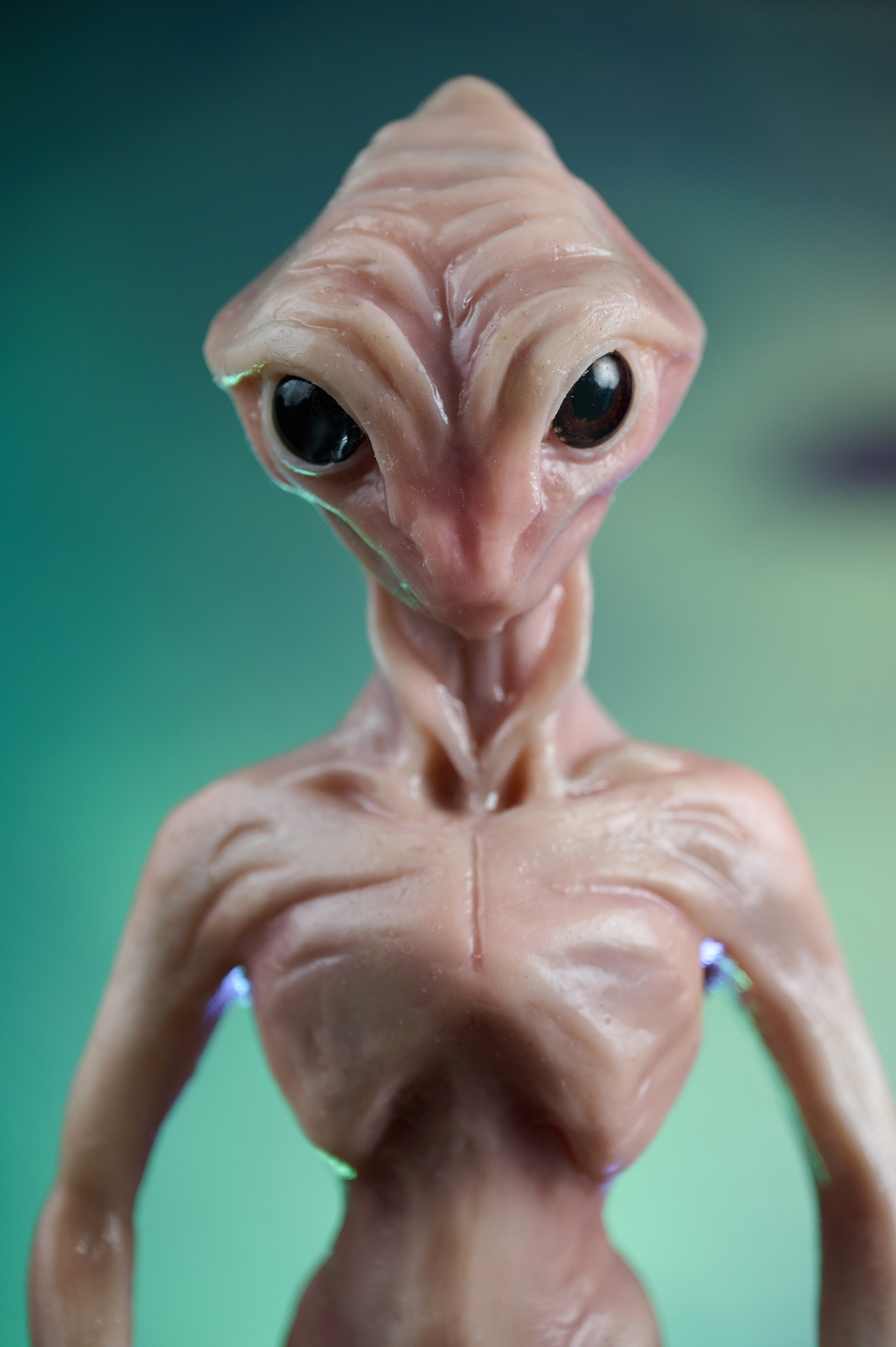 Вторжение инопланетян. Фотограф Опыт Качество Скорость Горный Алтай Барнаул